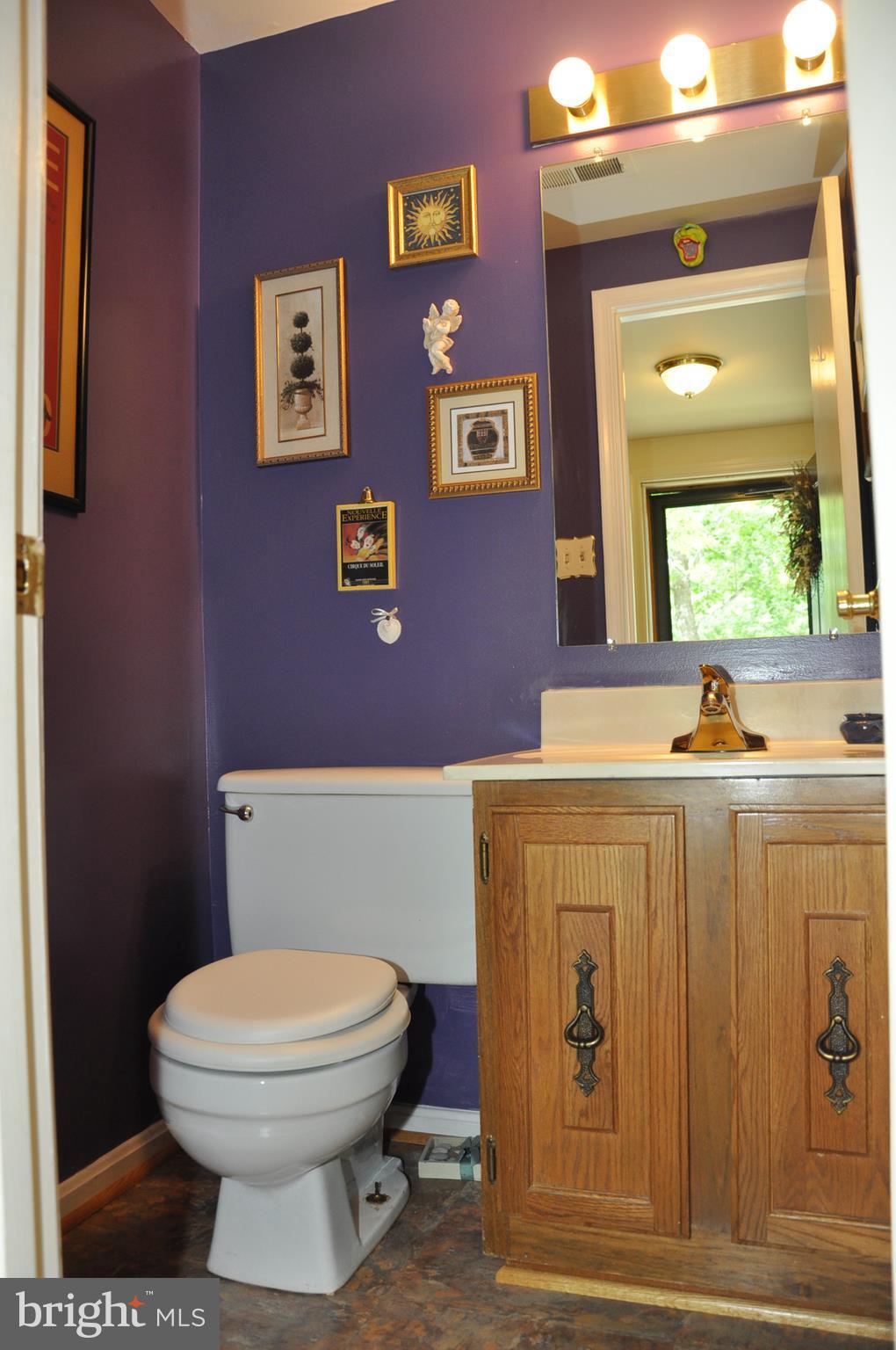 2026 Flowering Tree Terrace Silver Spring, MD 20902 - Photo 3 of 11 FOYER BATH