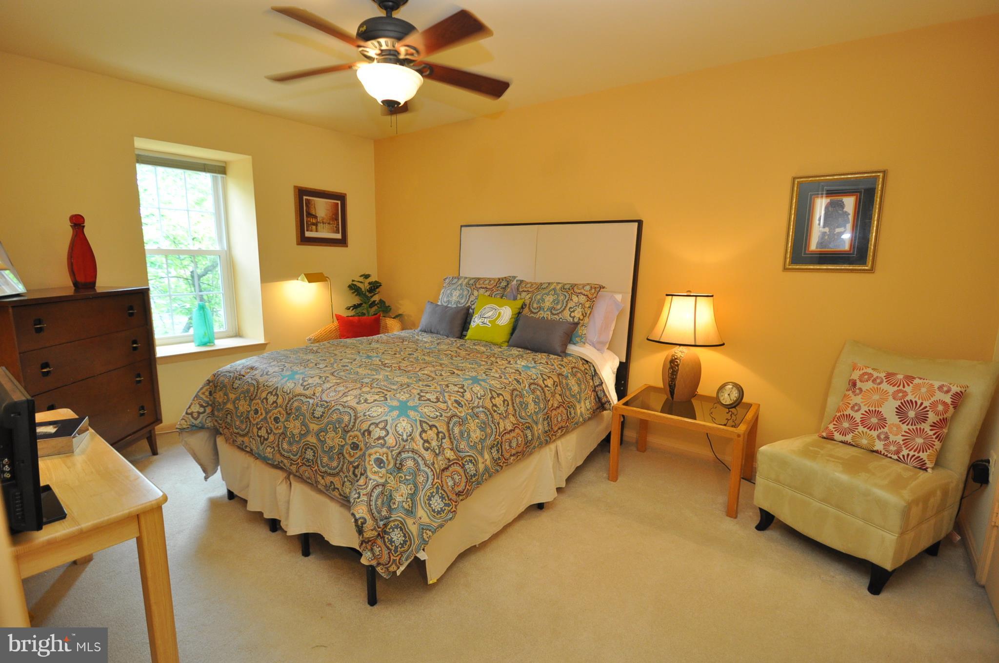2026 Flowering Tree Terrace Silver Spring, MD 20902 - Photo 8 of 11 BRIGHT & SPACIOUS MASTER BEDROOM