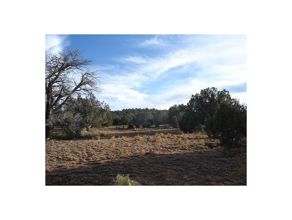 0 Antelope Valley Ranch Seligman, AZ 86337 - Photo 1 of 28 Primary Photo