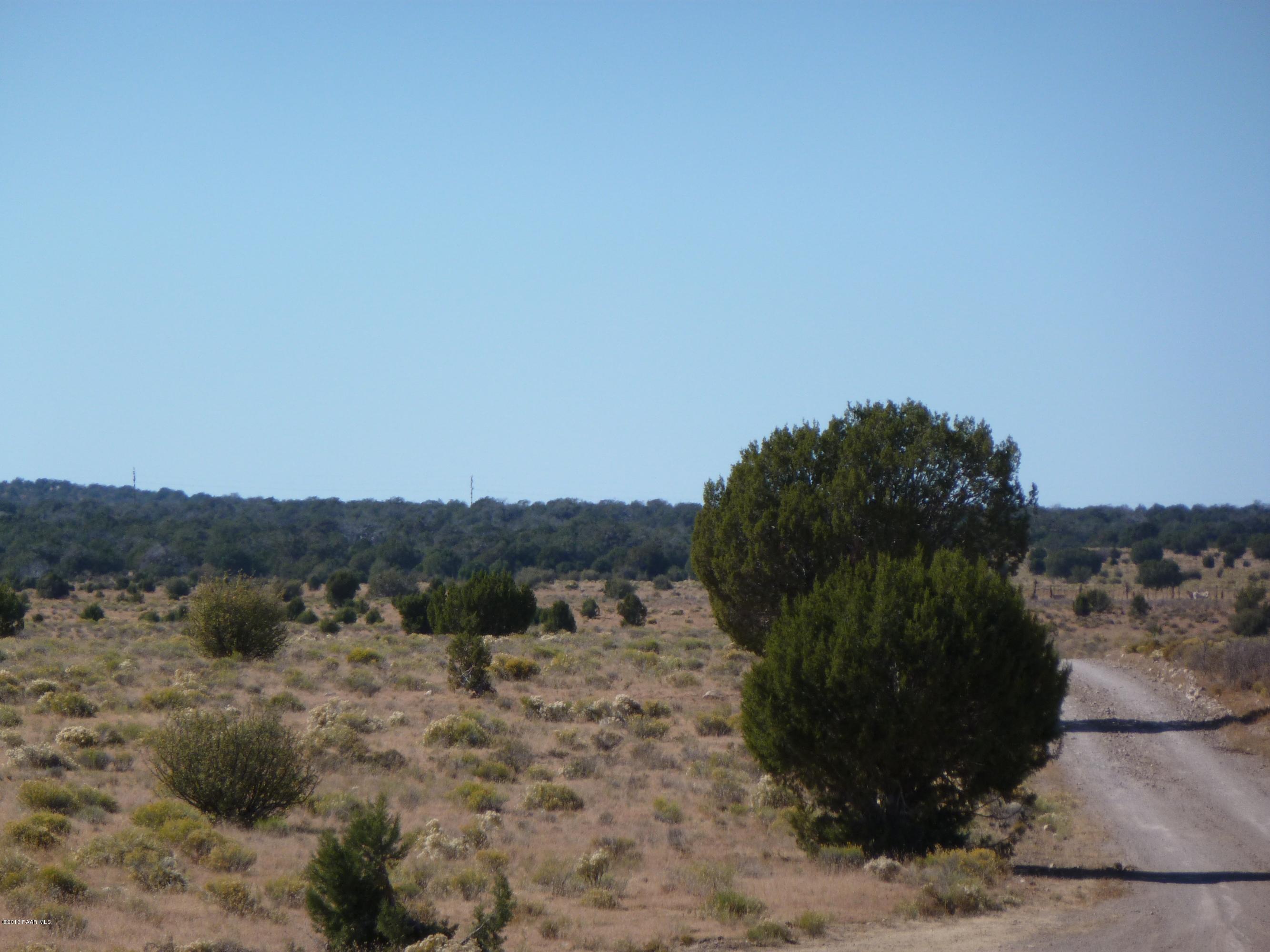 0 Antelope Valley Ranch Seligman, AZ 86337 - Photo 11 of 28 Landon 001