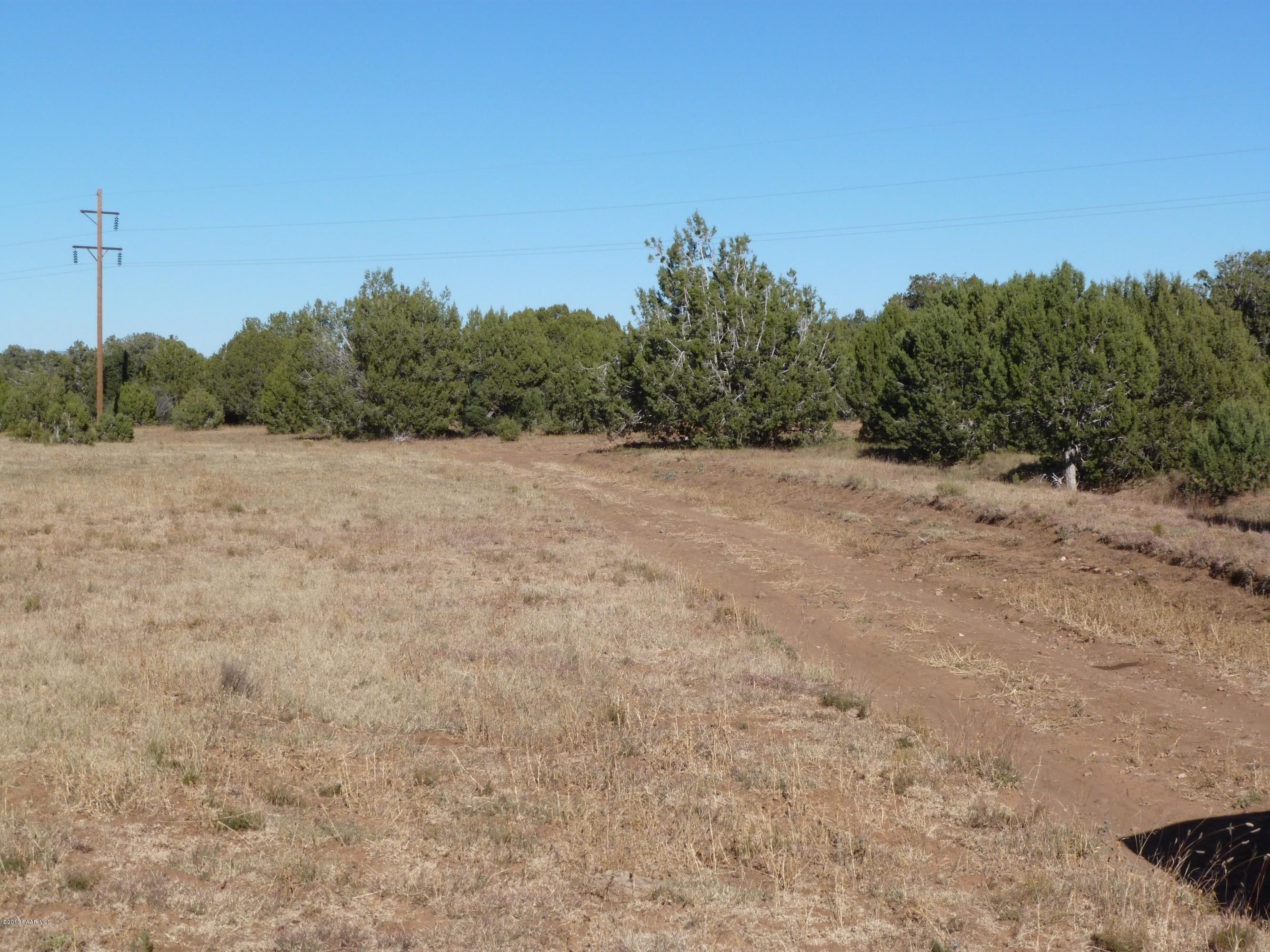 0 Antelope Valley Ranch Seligman, AZ 86337 - Photo 12 of 28 Landon 002