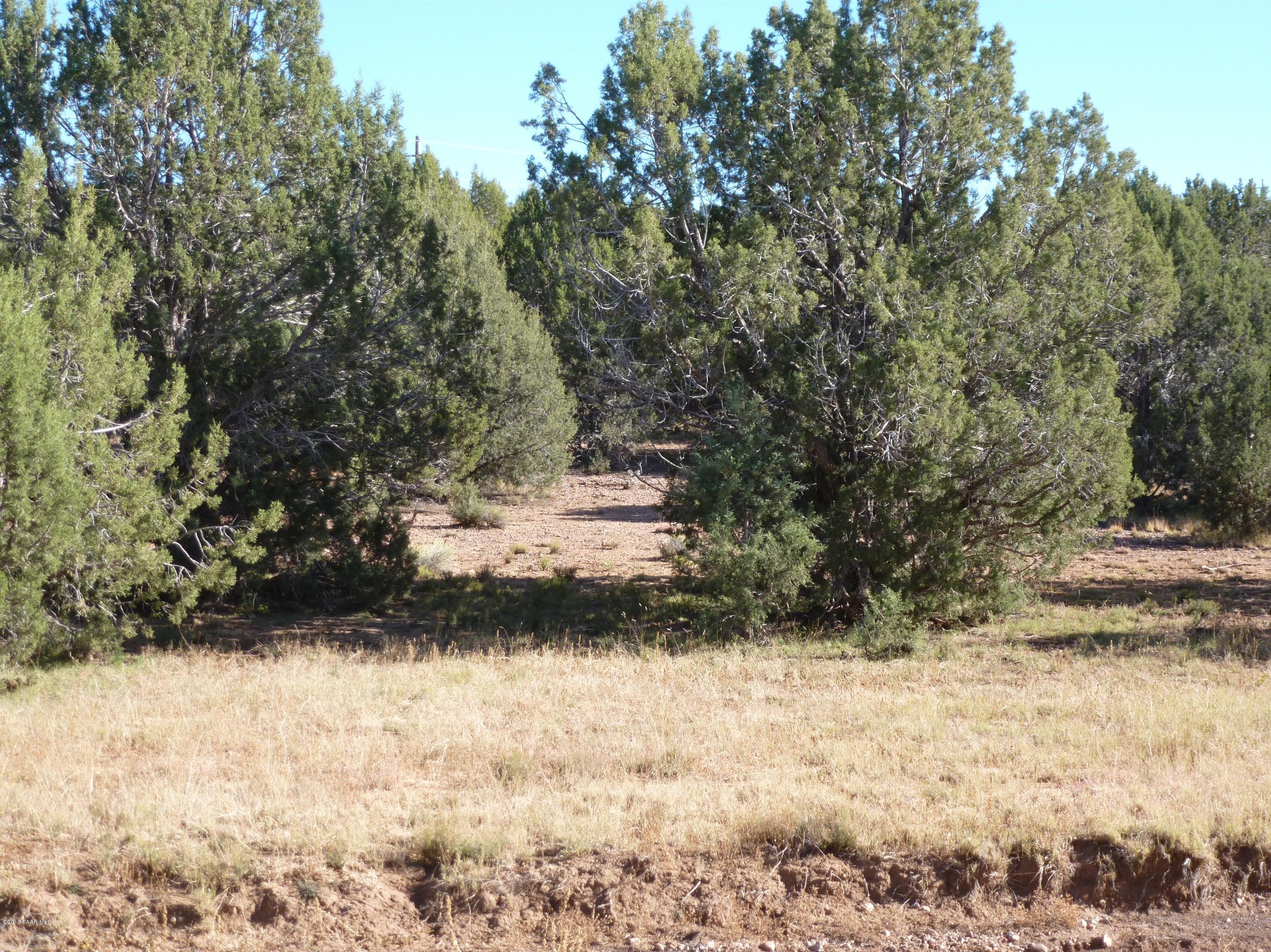 0 Antelope Valley Ranch Seligman, AZ 86337 - Photo 13 of 28 Landon 003