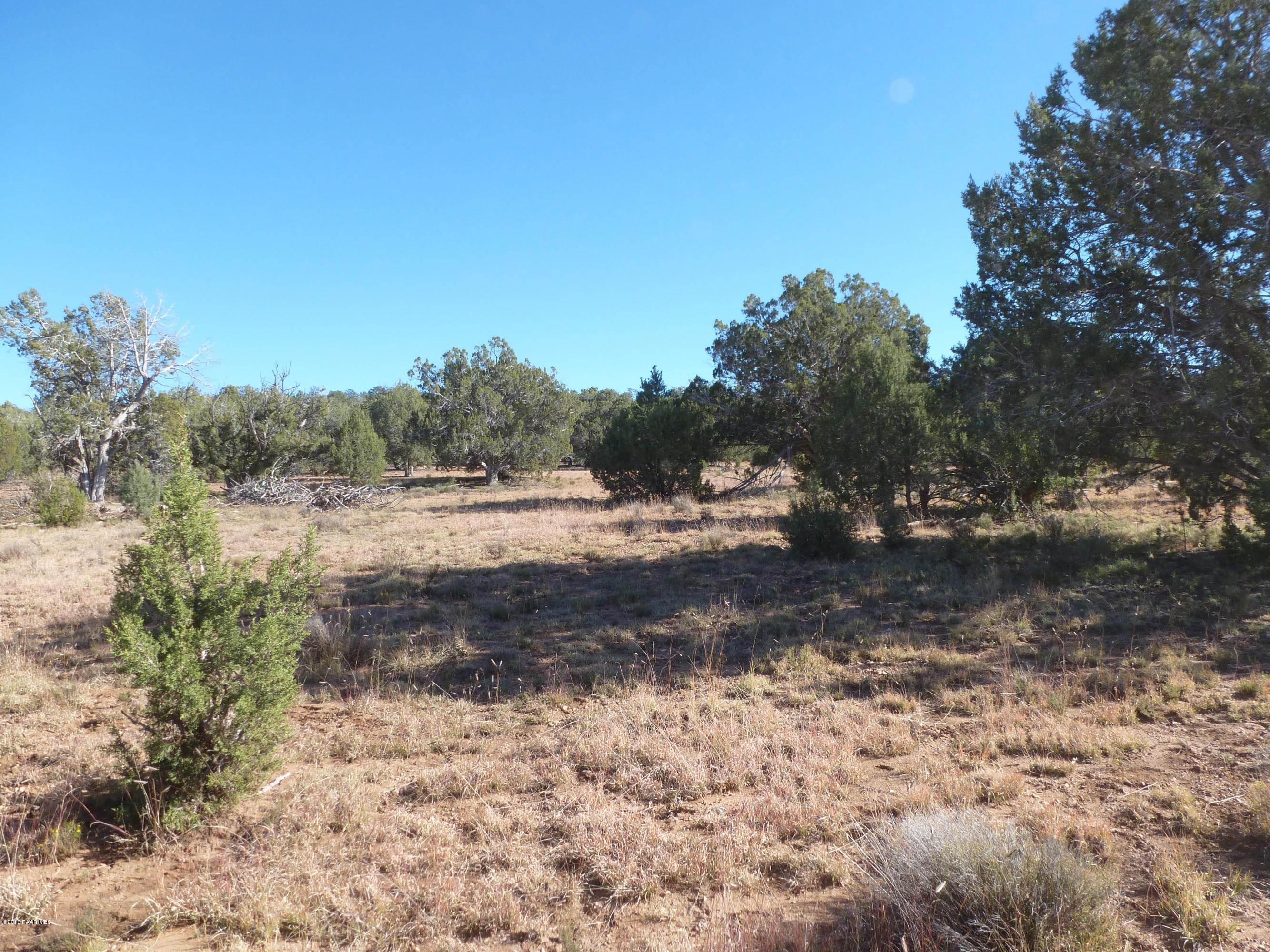 0 Antelope Valley Ranch Seligman, AZ 86337 - Photo 14 of 28 Landon 004