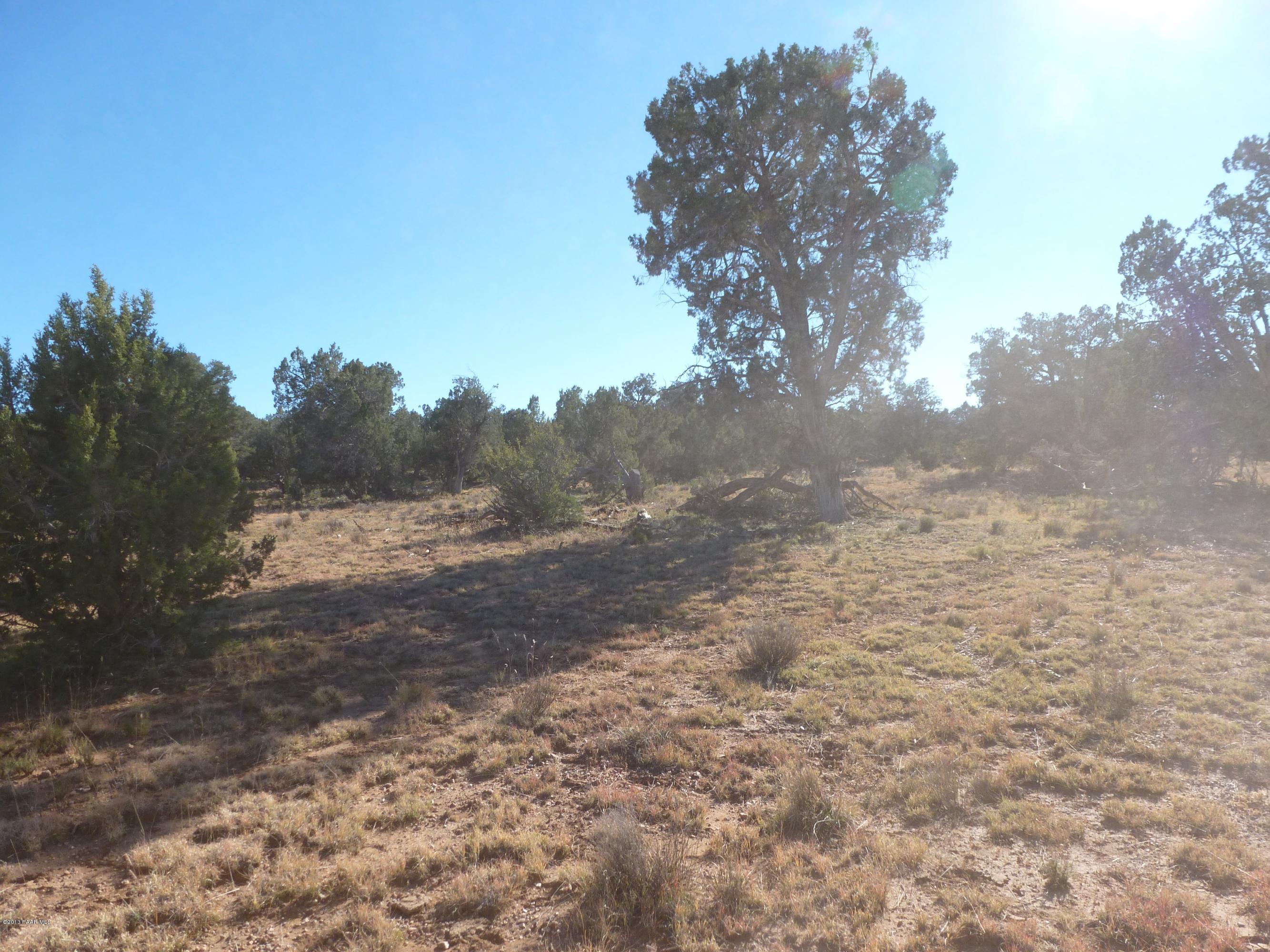0 Antelope Valley Ranch Seligman, AZ 86337 - Photo 15 of 28 Landon 005