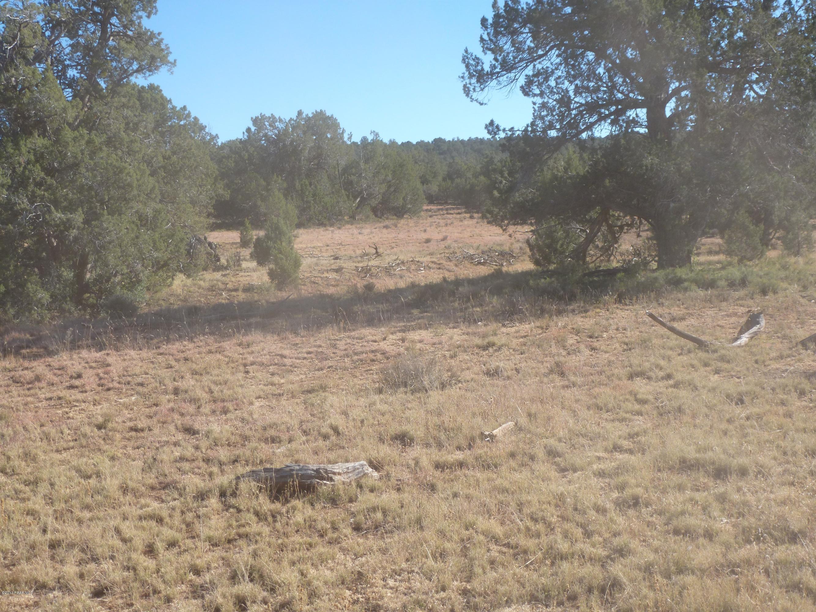 0 Antelope Valley Ranch Seligman, AZ 86337 - Photo 16 of 28 Landon 006