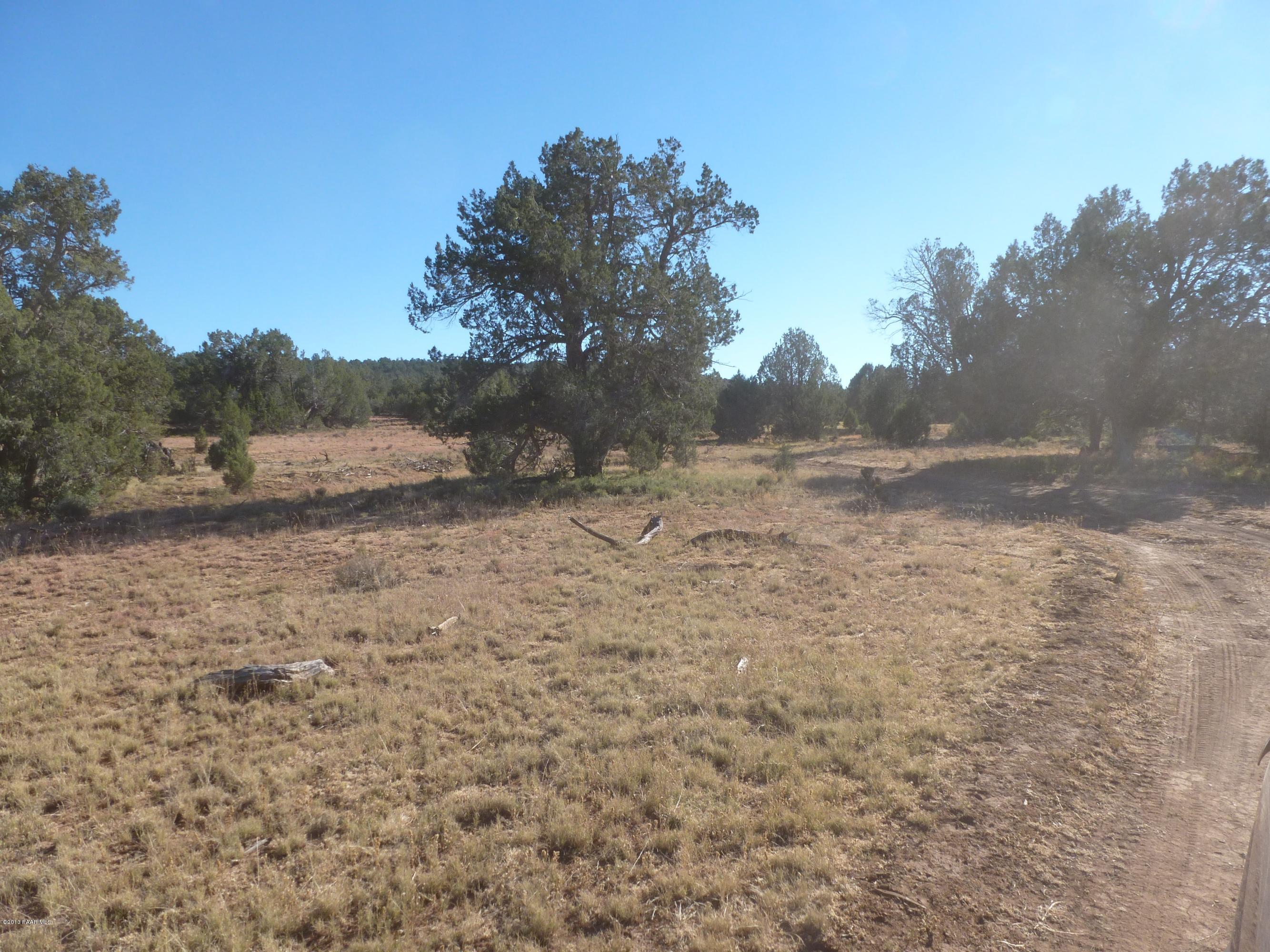 0 Antelope Valley Ranch Seligman, AZ 86337 - Photo 17 of 28 Landon 007