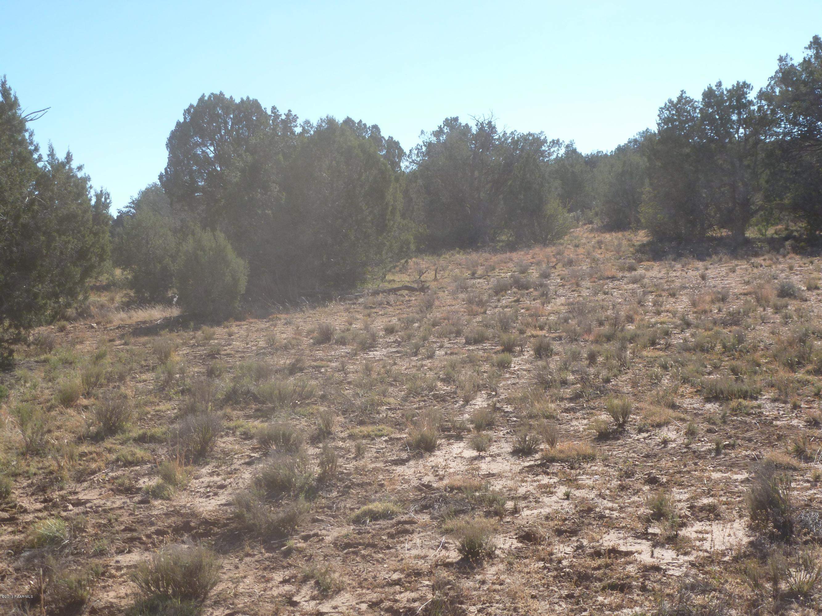 0 Antelope Valley Ranch Seligman, AZ 86337 - Photo 18 of 28 Landon 008