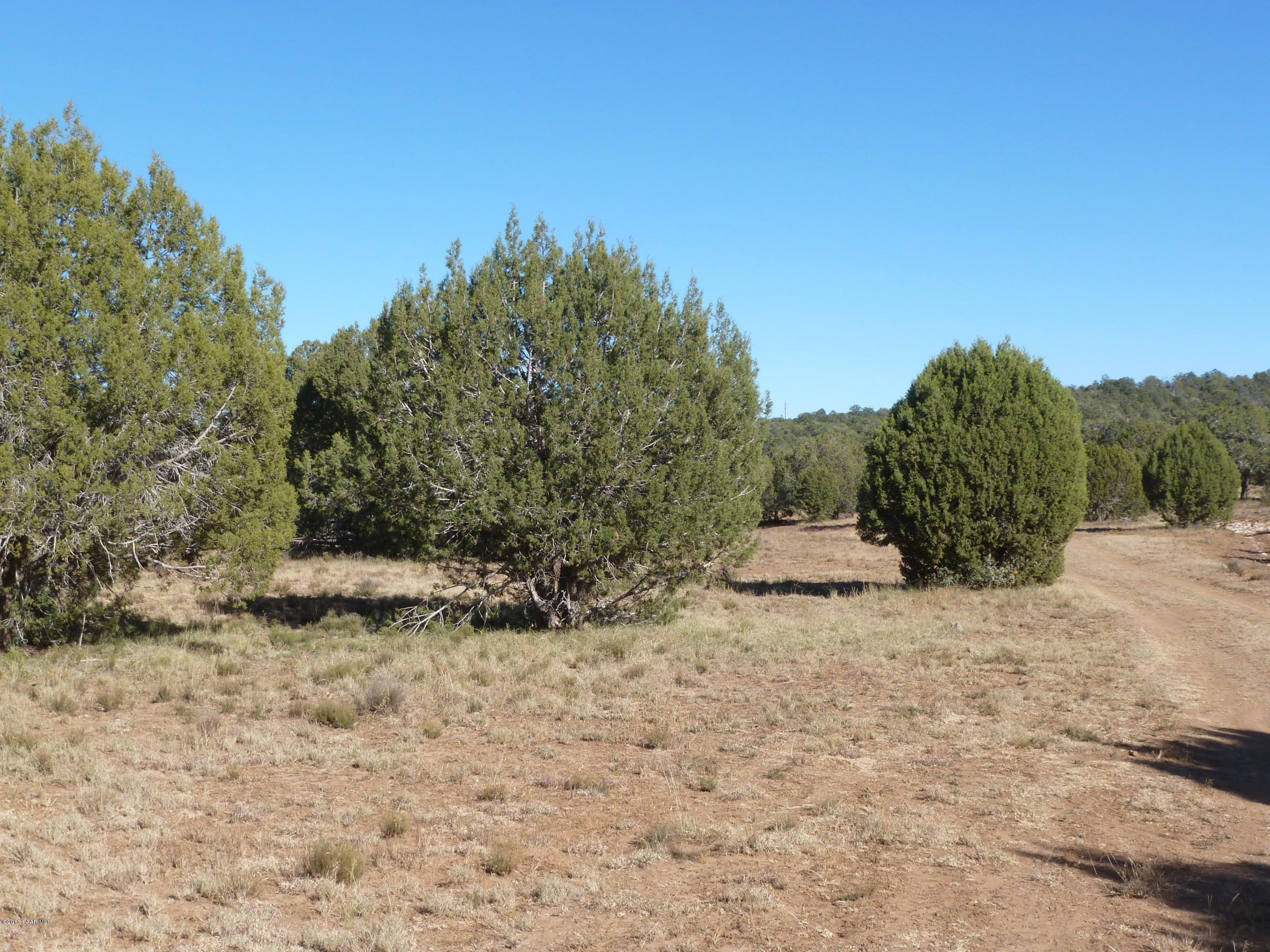 0 Antelope Valley Ranch Seligman, AZ 86337 - Photo 19 of 28 Landon 009