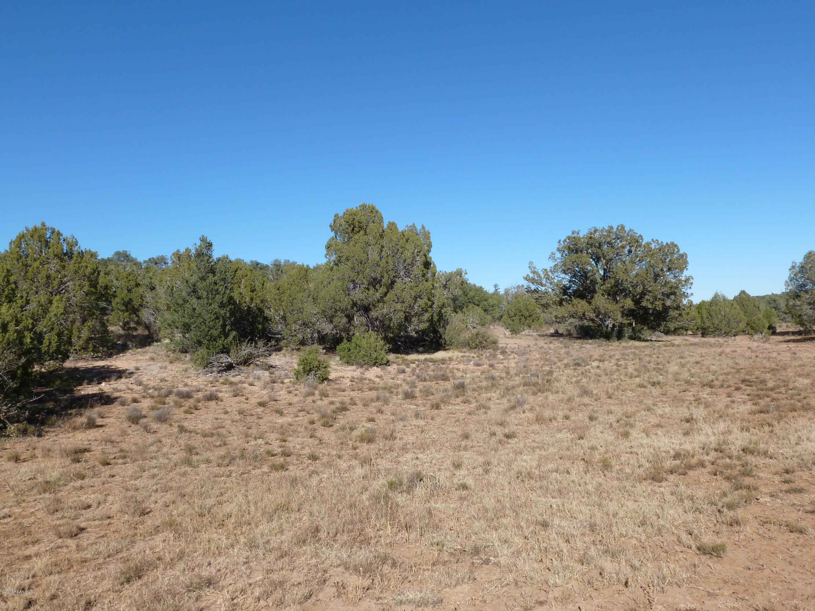 0 Antelope Valley Ranch Seligman, AZ 86337 - Photo 22 of 28 Landon 012
