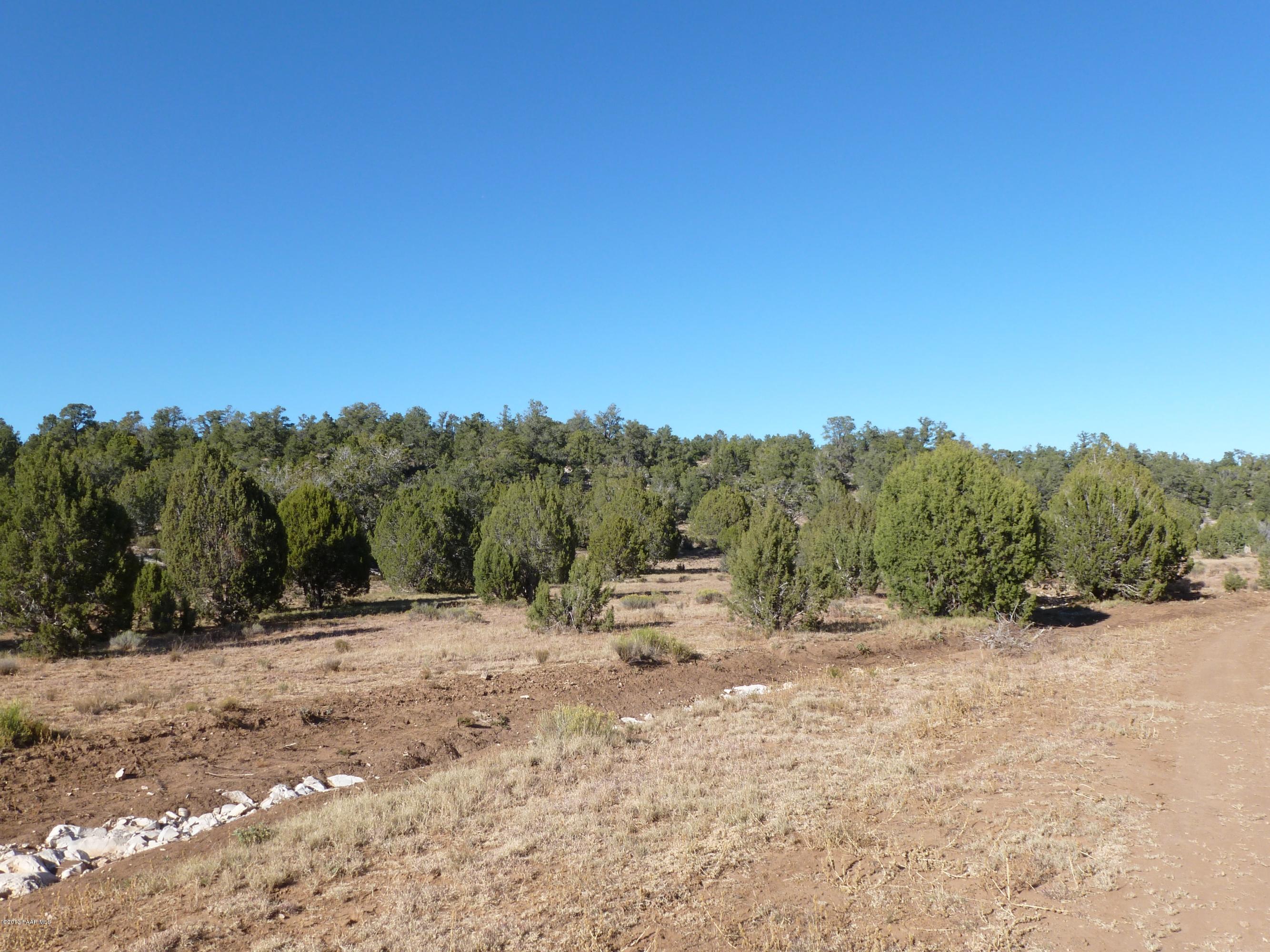 0 Antelope Valley Ranch Seligman, AZ 86337 - Photo 24 of 28 Landon 014