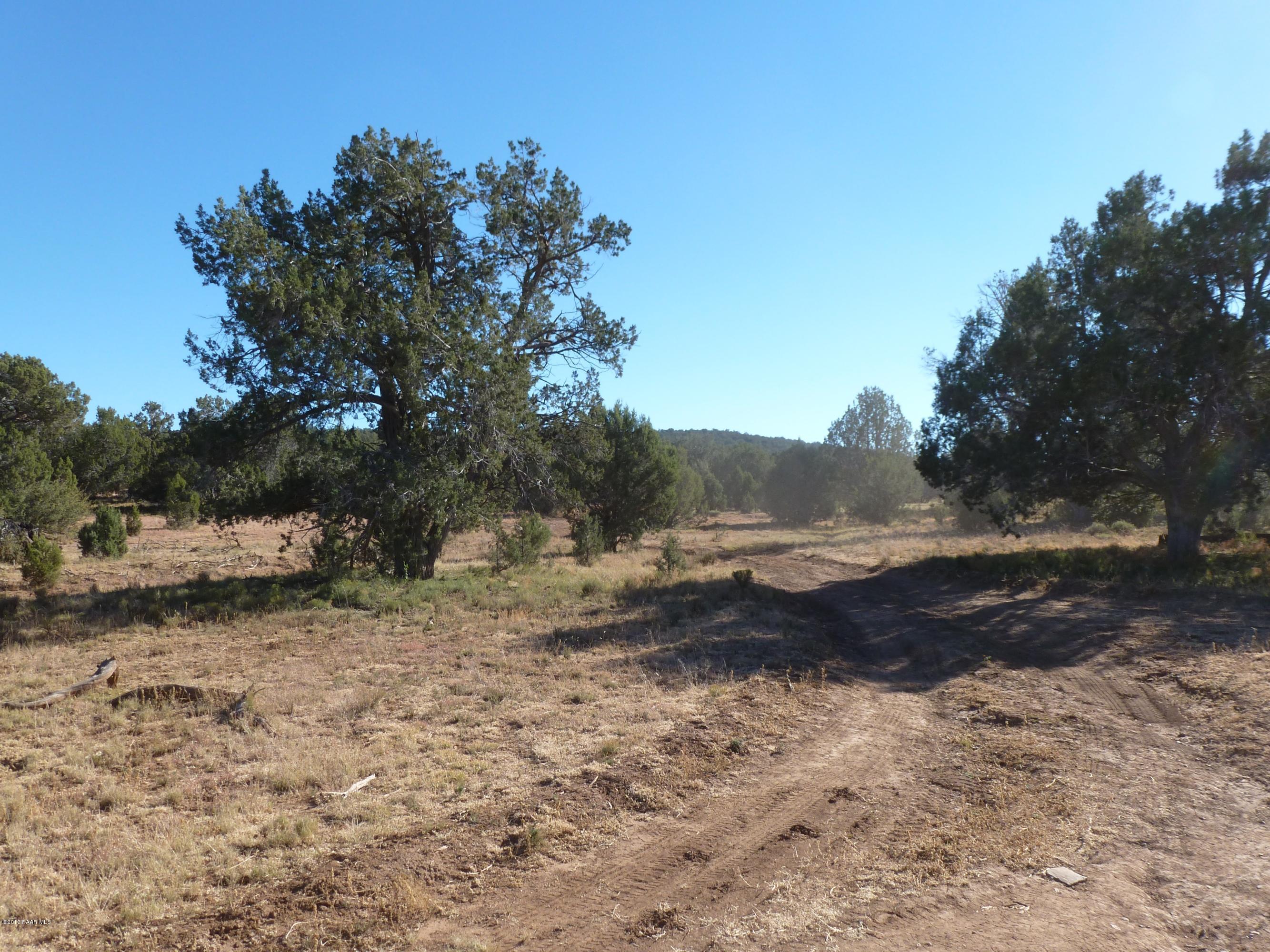 0 Antelope Valley Ranch Seligman, AZ 86337 - Photo 25 of 28 Landon 015