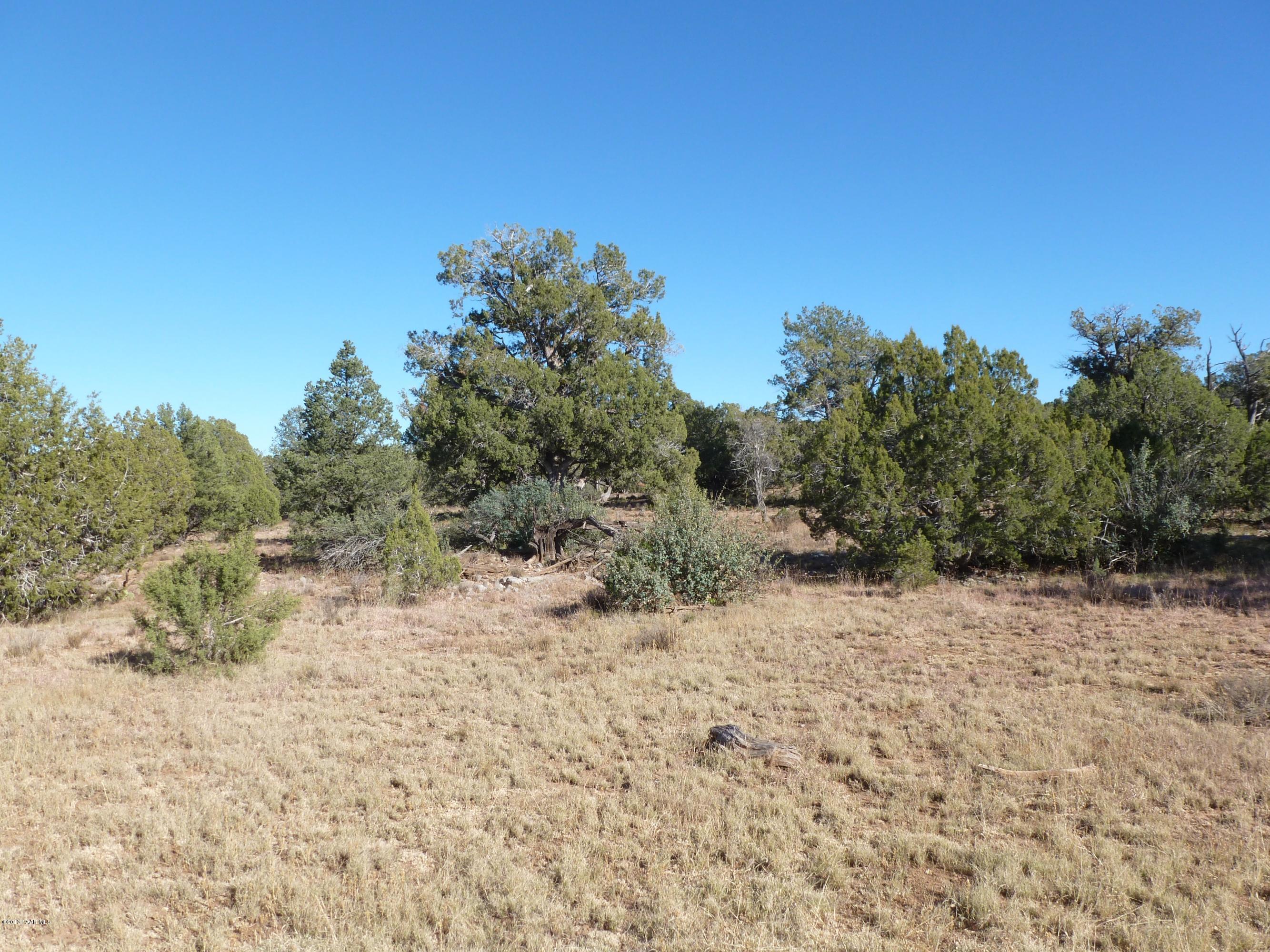 0 Antelope Valley Ranch Seligman, AZ 86337 - Photo 26 of 28 Landon 016