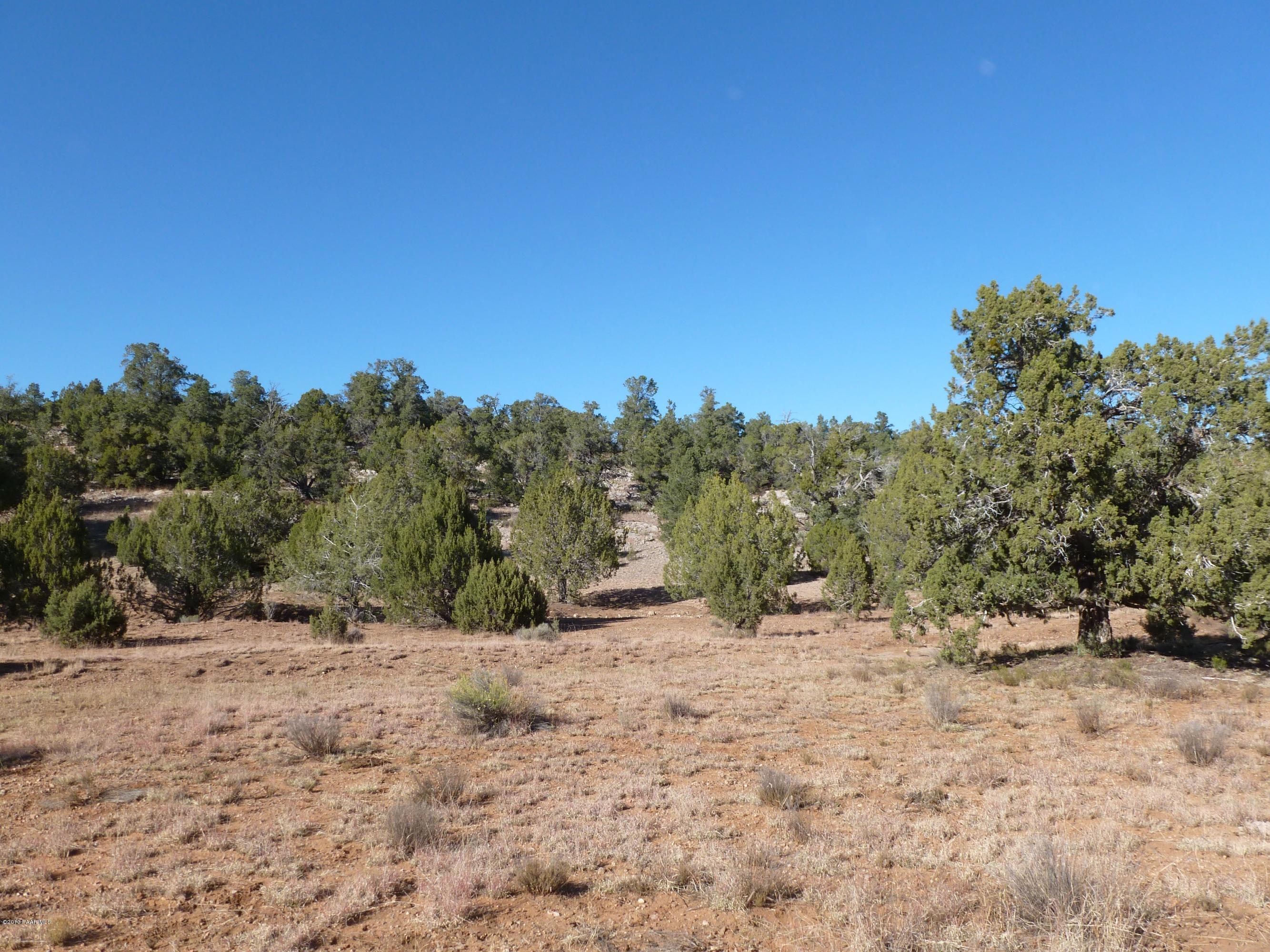 0 Antelope Valley Ranch Seligman, AZ 86337 - Photo 27 of 28 open spaces