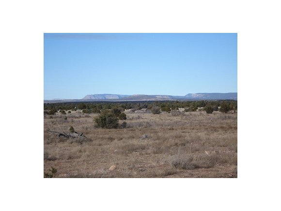 0 Antelope Valley Ranch Seligman, AZ 86337 - Photo 10 of 28 Additional Photo