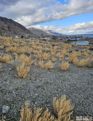 a view of a dry yard with wooden fence
