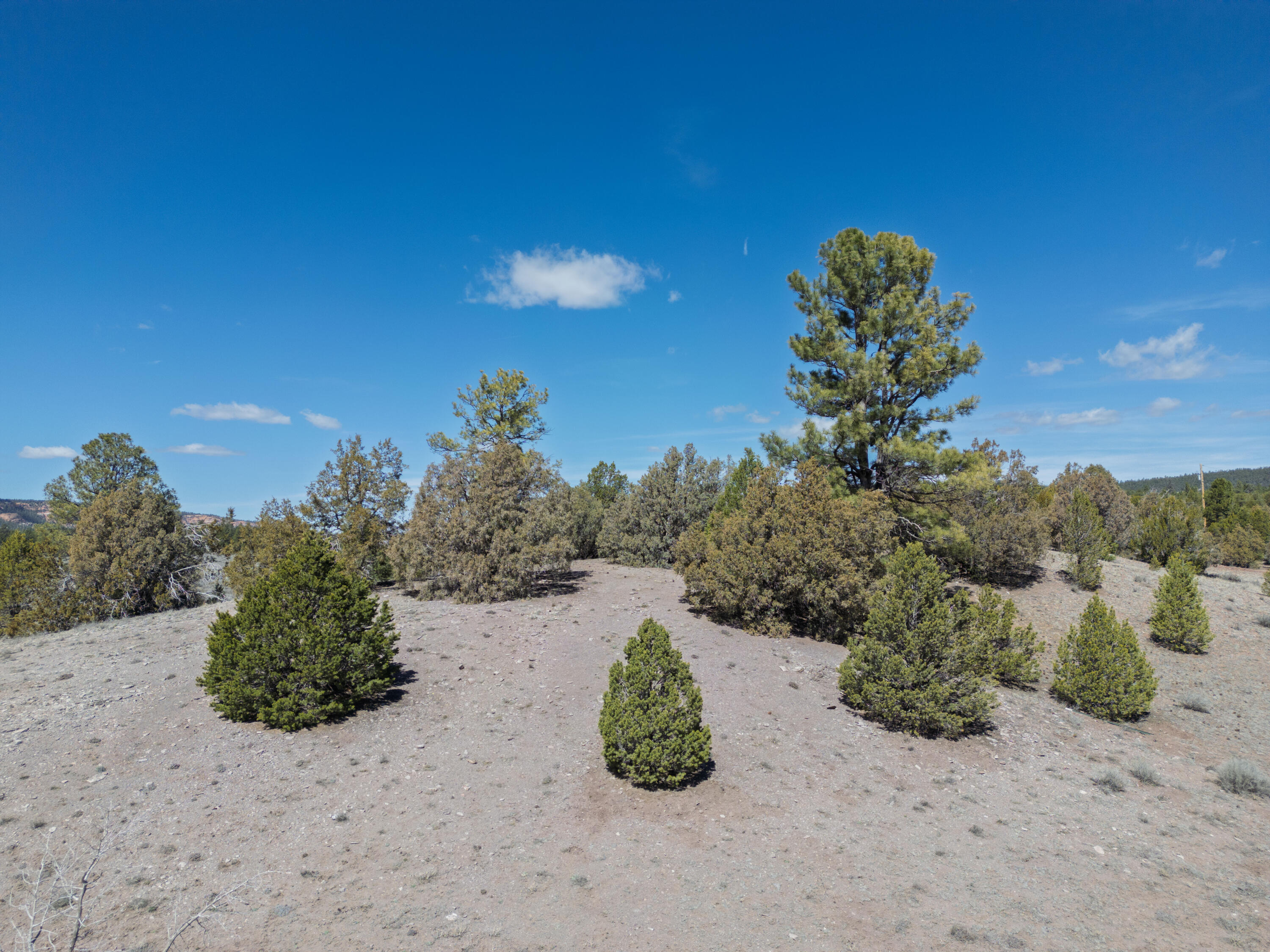 700 Timberlake Road Ramah, NM 87321 - Photo 44 of 78 Gallery Image 44