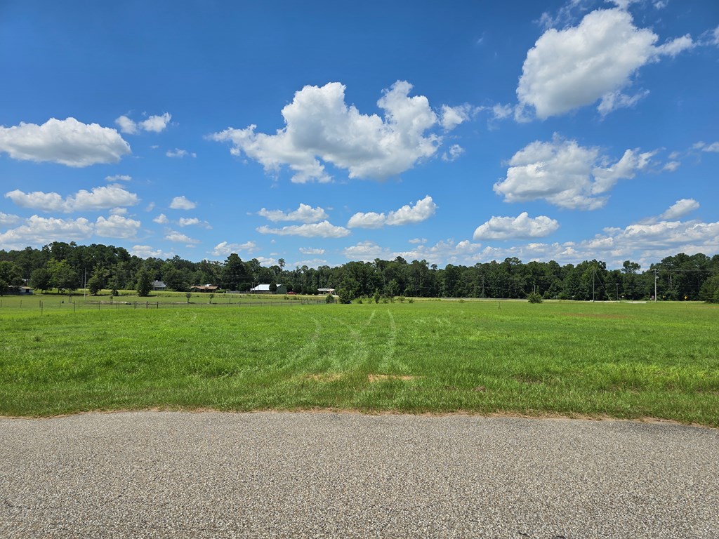 1.43-acres Sage Road Ashford, AL 36312 - Photo 9 of 9