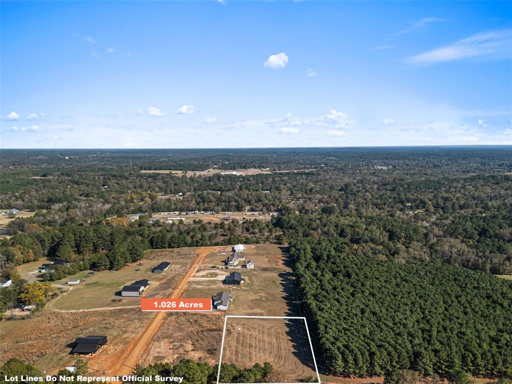 2685 Hawk Road Diana, TX 75640 - Photo 4 of 7