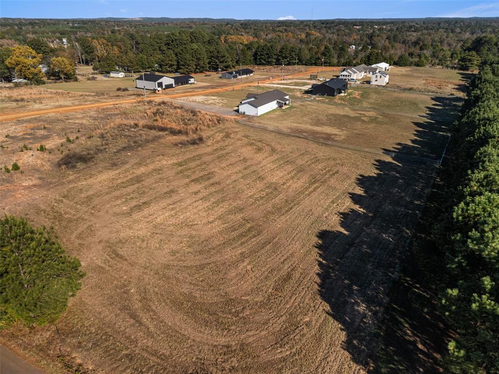 2685 Hawk Road Diana, TX 75640 - Photo 5 of 7