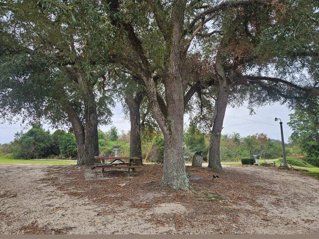 591 Coleman Warren Road Alapaha, GA 31622 - Photo 33 of 35 Gallery Image 33