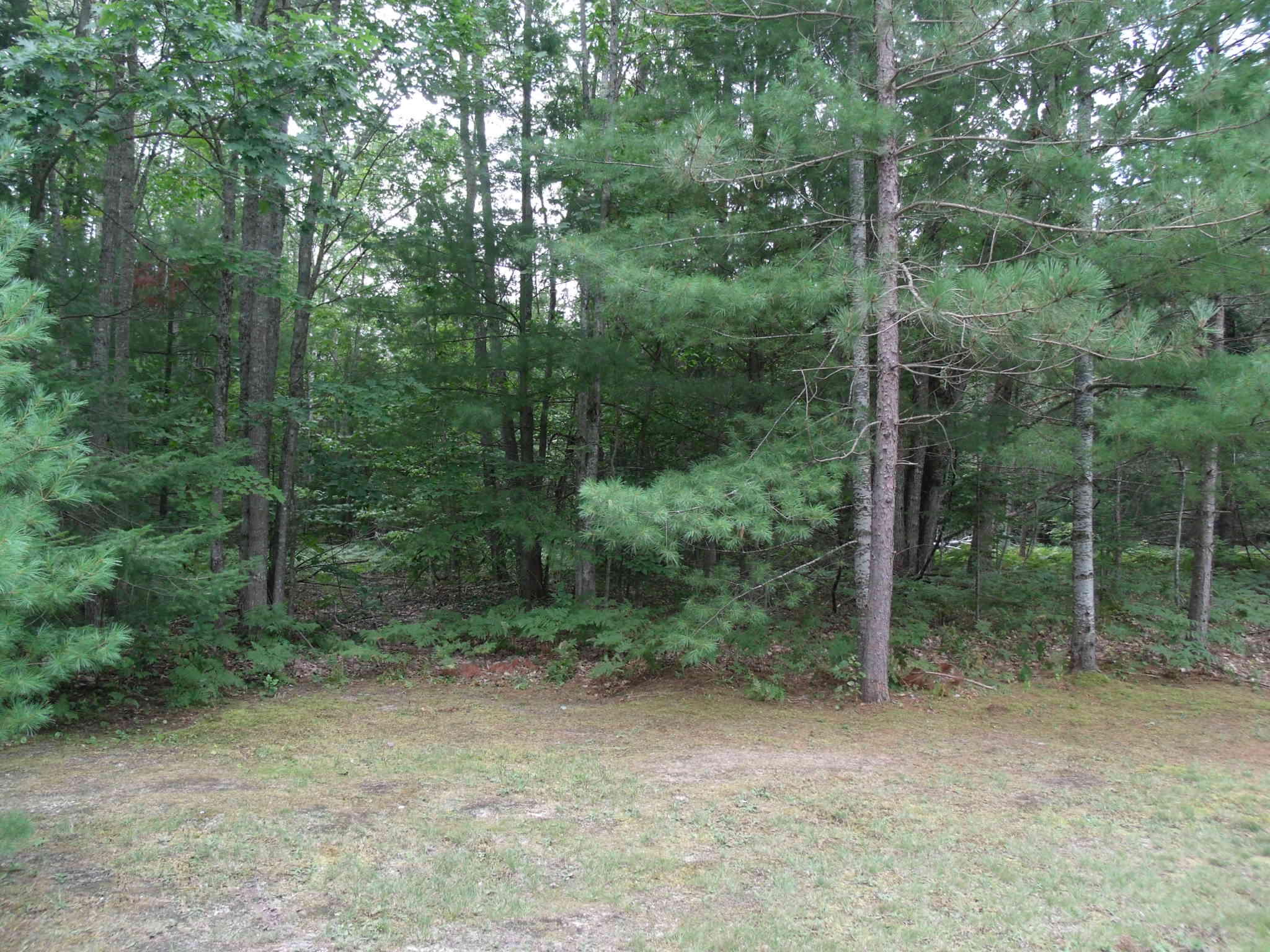 Longfellow Drive Cheboygan, MI 49721 - Photo 1 of 13 GEDC3445