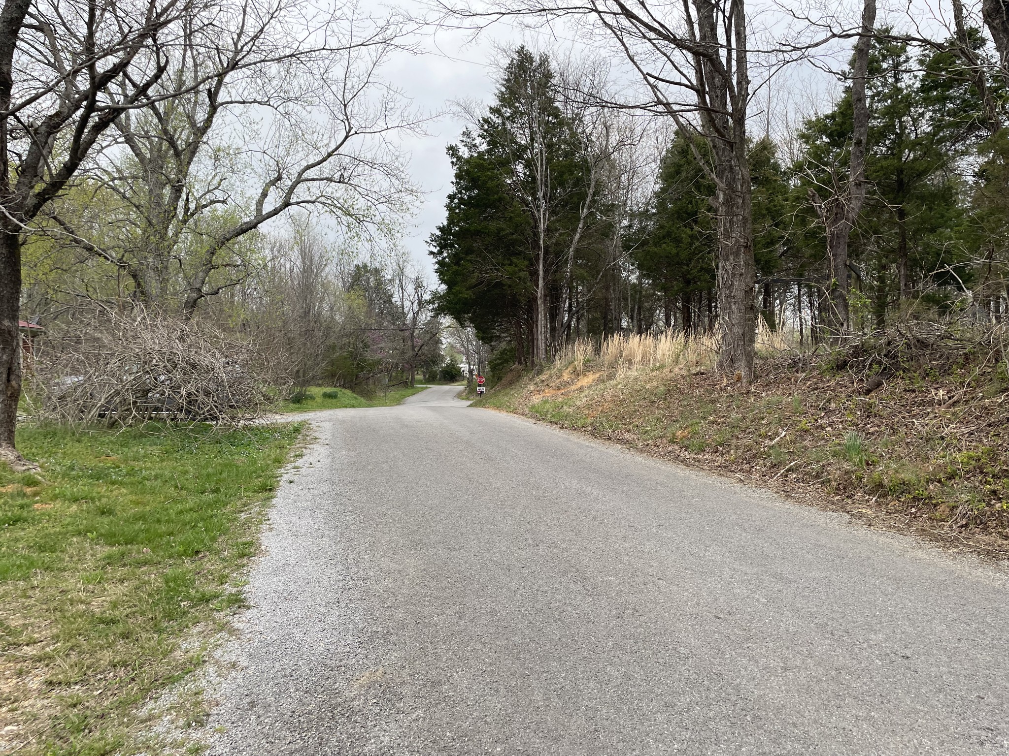775 Union Ridge Road Wartrace, TN 37183 - Photo 7 of 20 a view of a dirt road with a building in the background