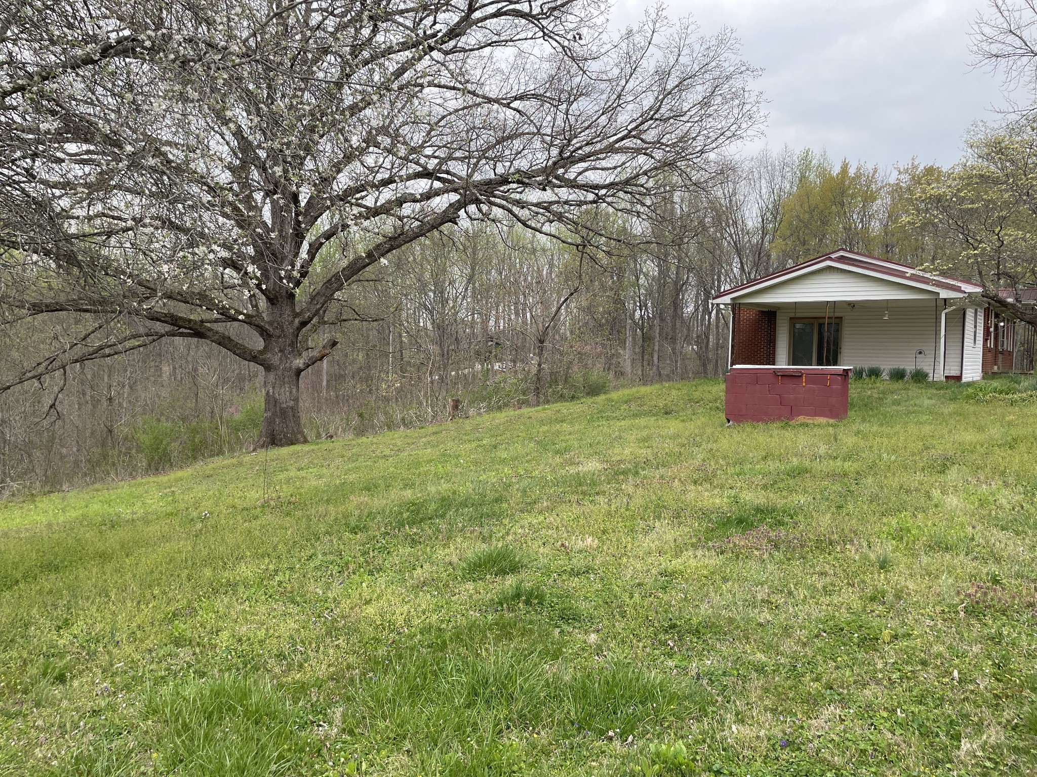 775 Union Ridge Road Wartrace, TN 37183 - Photo 8 of 20 a front view of house with yard and trees