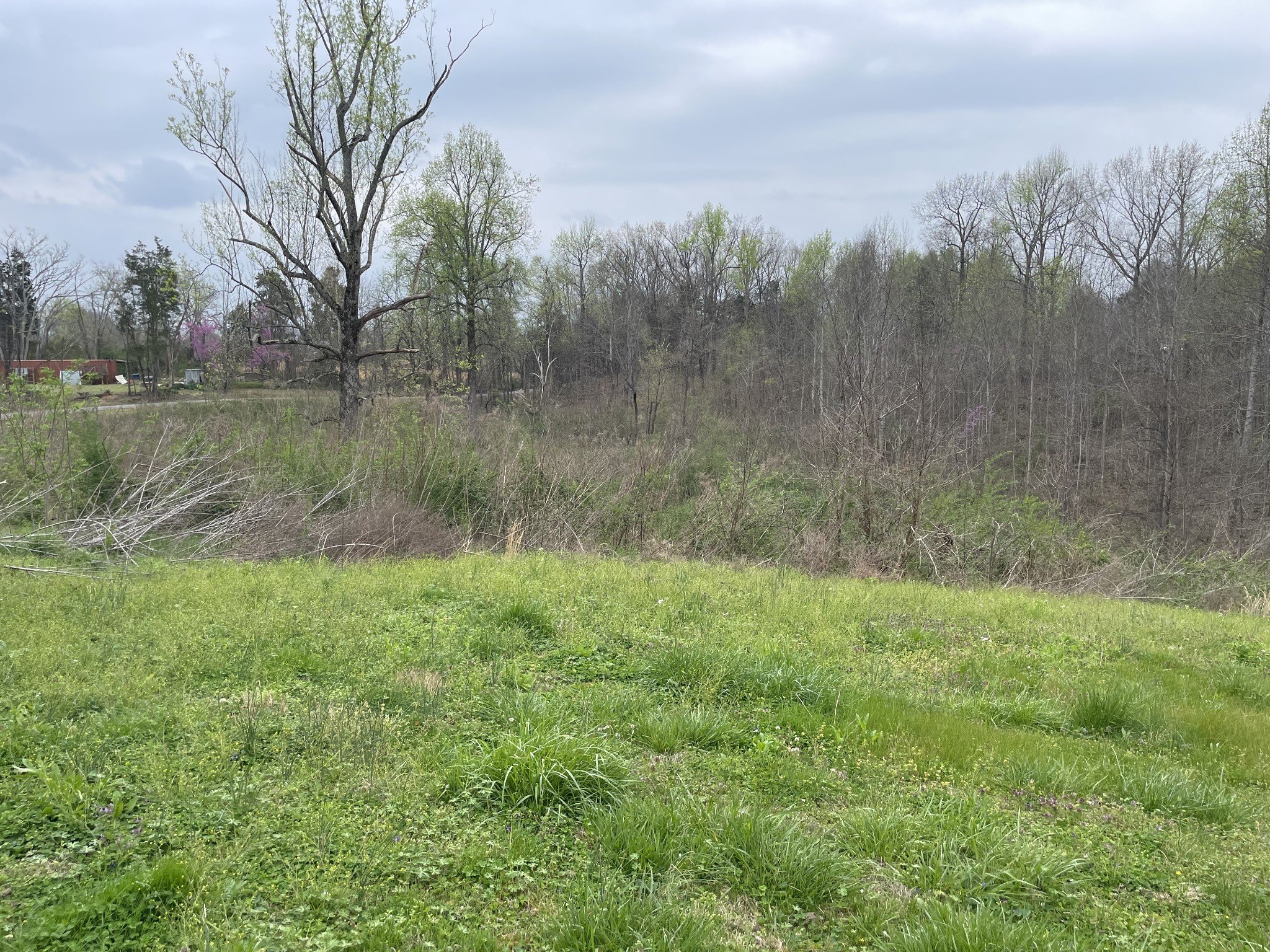 775 Union Ridge Road Wartrace, TN 37183 - Photo 10 of 20 a view of a lush green forest next to a lake