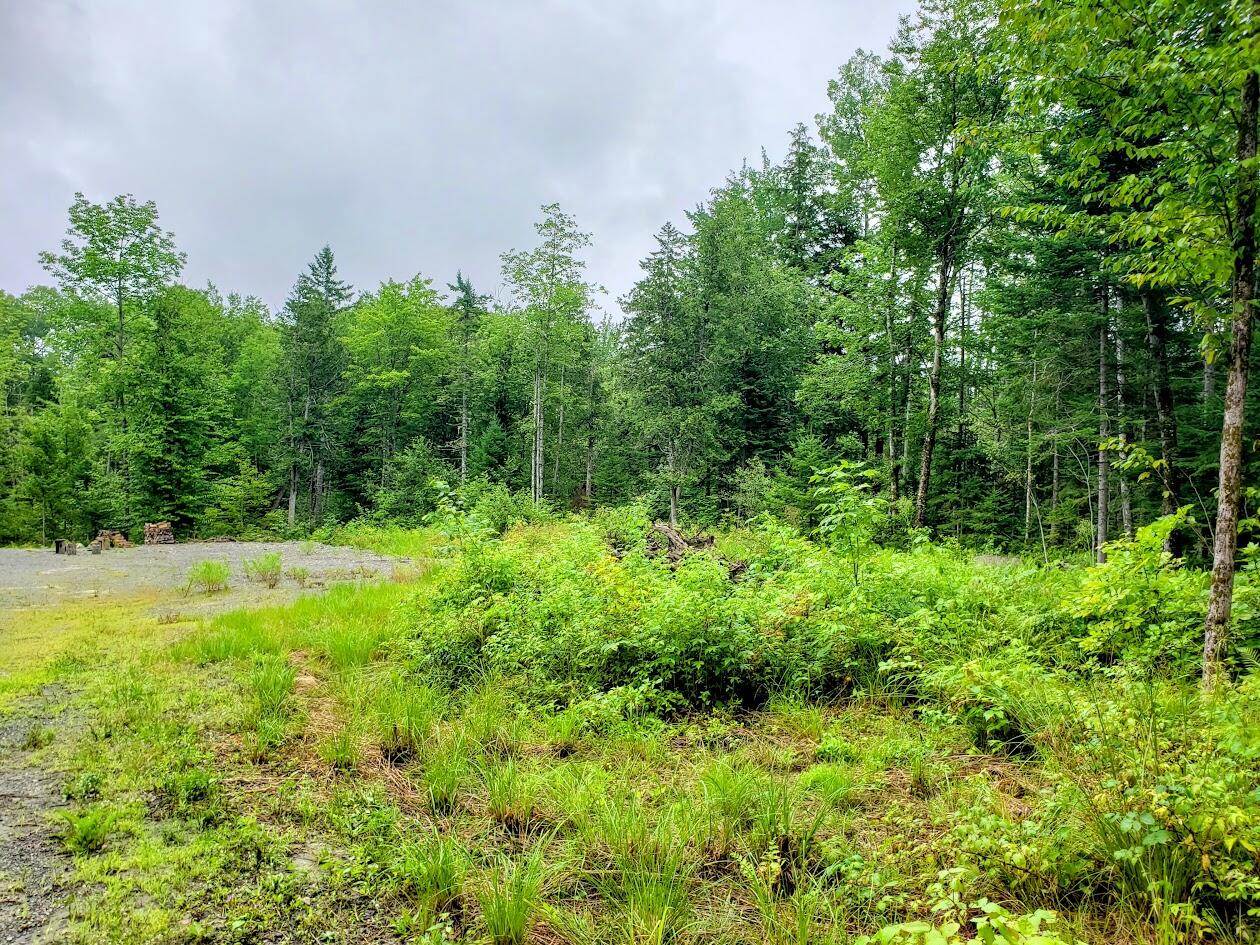 548 John Dean Road Milo, ME 04463 - Photo 5 of 10 20240724_111631-EDIT
