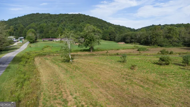 a view of a green filed with mountains in the background