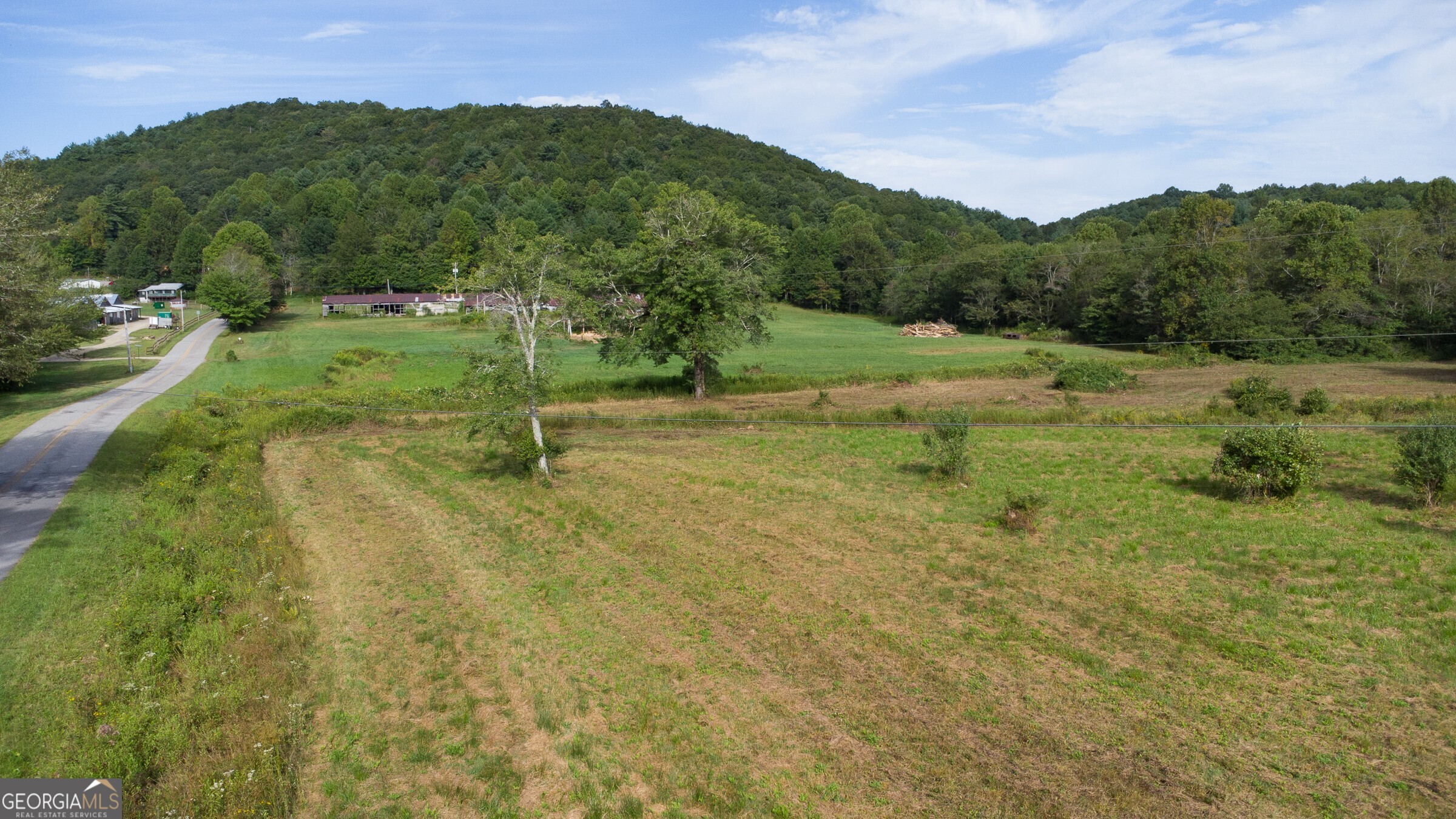 239 Glenn Elliott Road Dahlonega, GA 30533 - Photo 14 of 28 a view of a green filed with mountains in the background