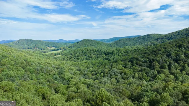 a view of a city with lush green forest
