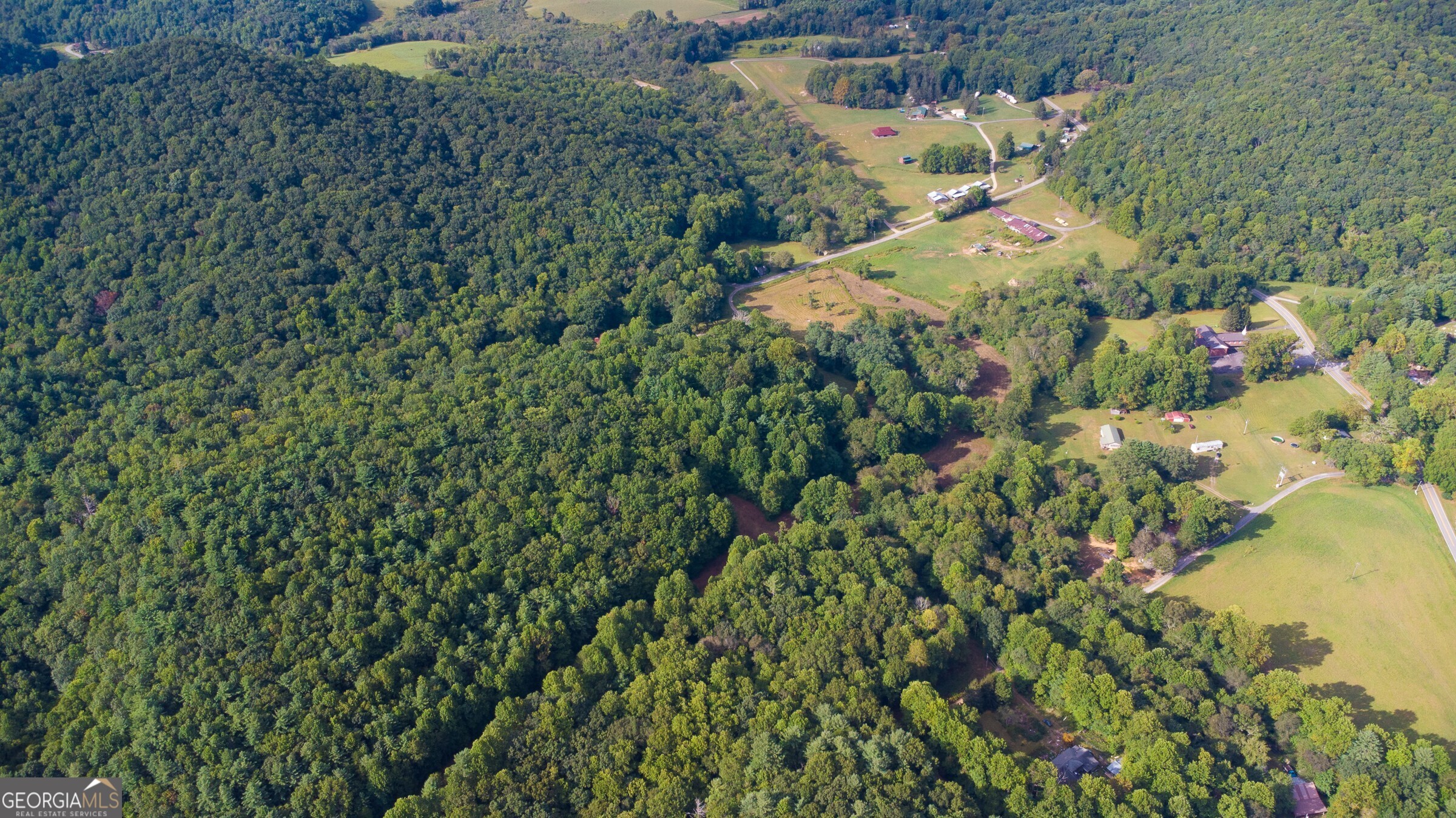 239 Glenn Elliott Road Dahlonega, GA 30533 - Photo 8 of 28 a view of a garden with a tree