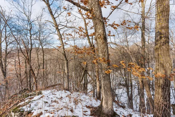 $1,200,000 | 0 Bennett Lane, Richland Center, WI 53581