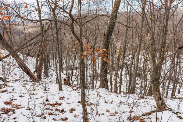 $1,200,000 | 0 Bennett Lane, Richland Center, WI 53581