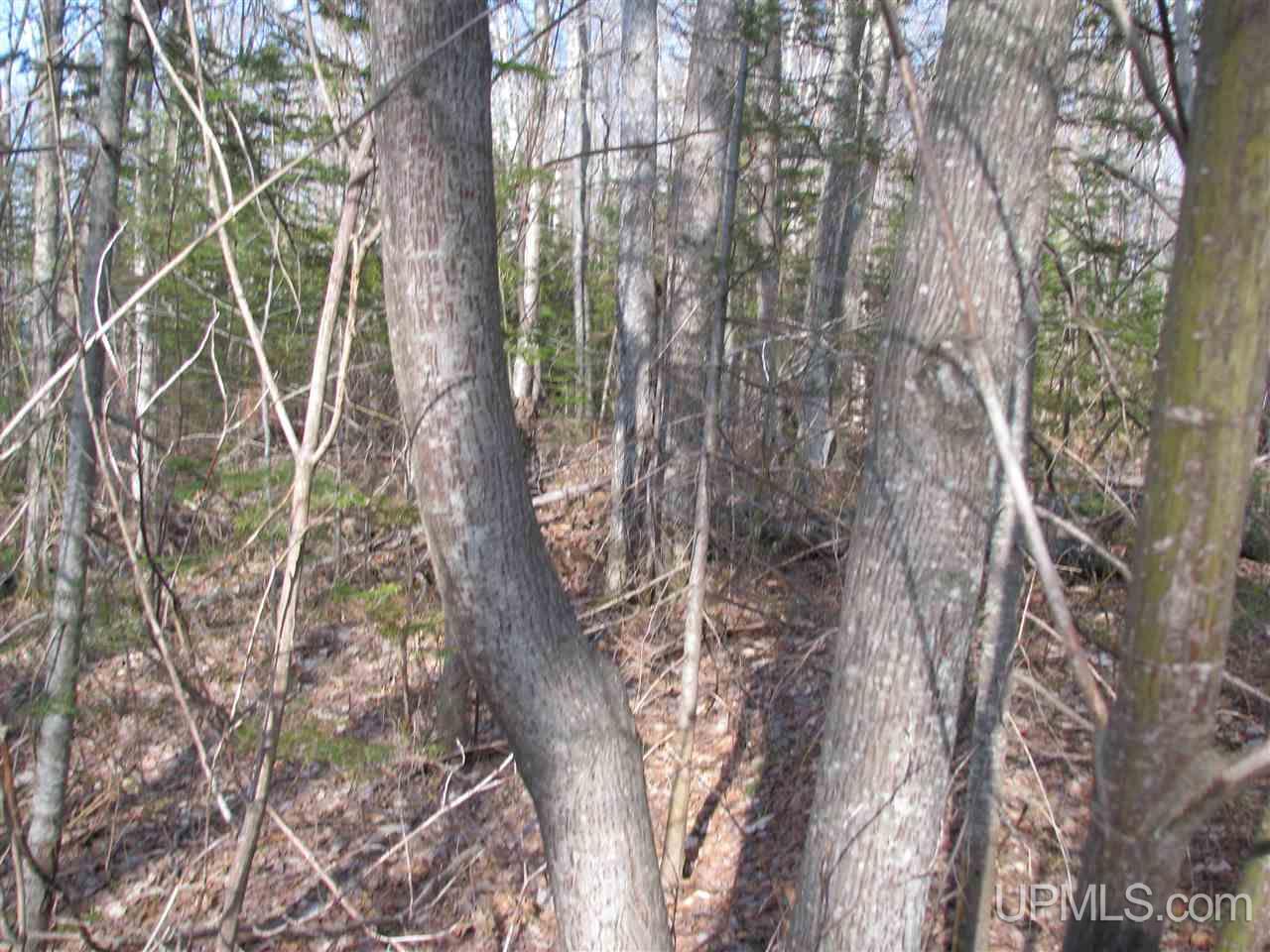 Tbd County Rd H-58 Grand Marais, MI 49839 - Photo 11 of 11