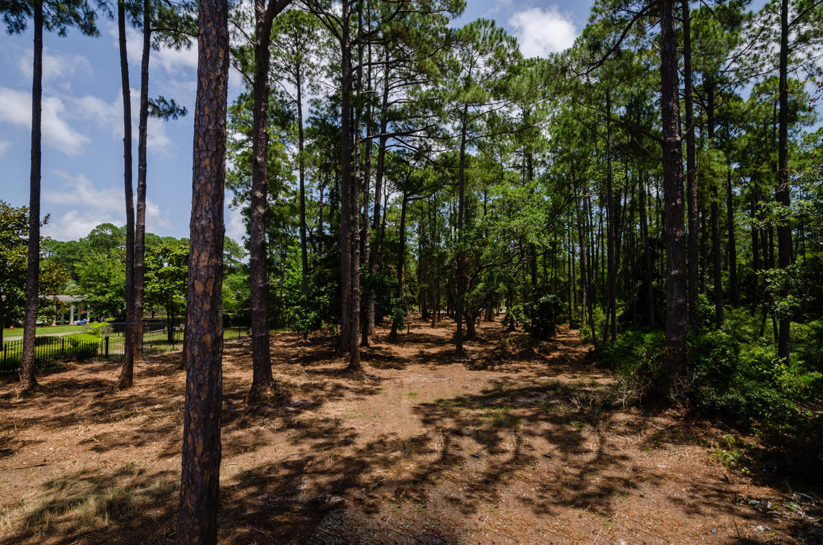 G-lot 4 Driftwood Point Road Santa Rosa Beach, FL 32459 - Photo 8 of 15 Gallery Image 8