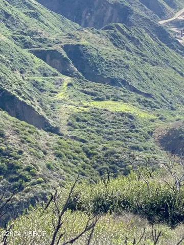 a view of a lush green forest with a mountain