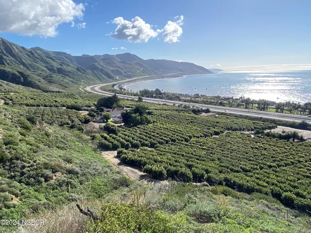 a view of a big yard with lots of bushes