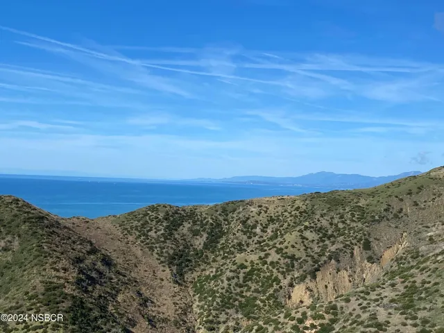 a view of a backyard with green space