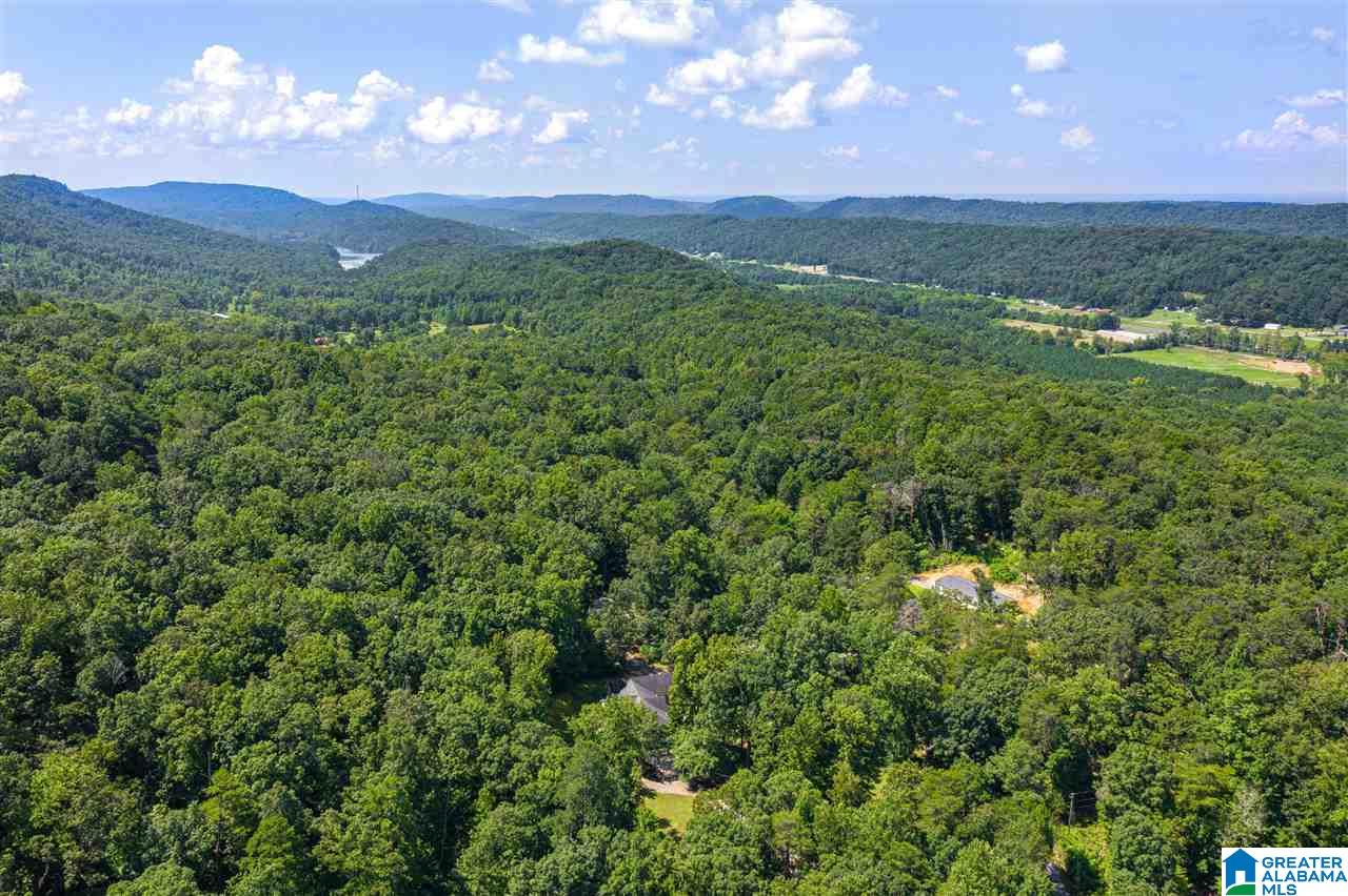 1025 Pine Mountain Road Remlap, AL 35133 - Photo 39 of 40