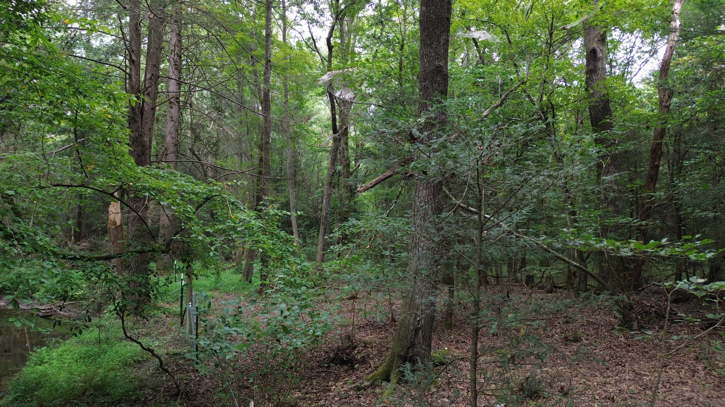 115 Sunshine Road Sequatchie, TN 37374 - Photo 11 of 18 DJI_0611