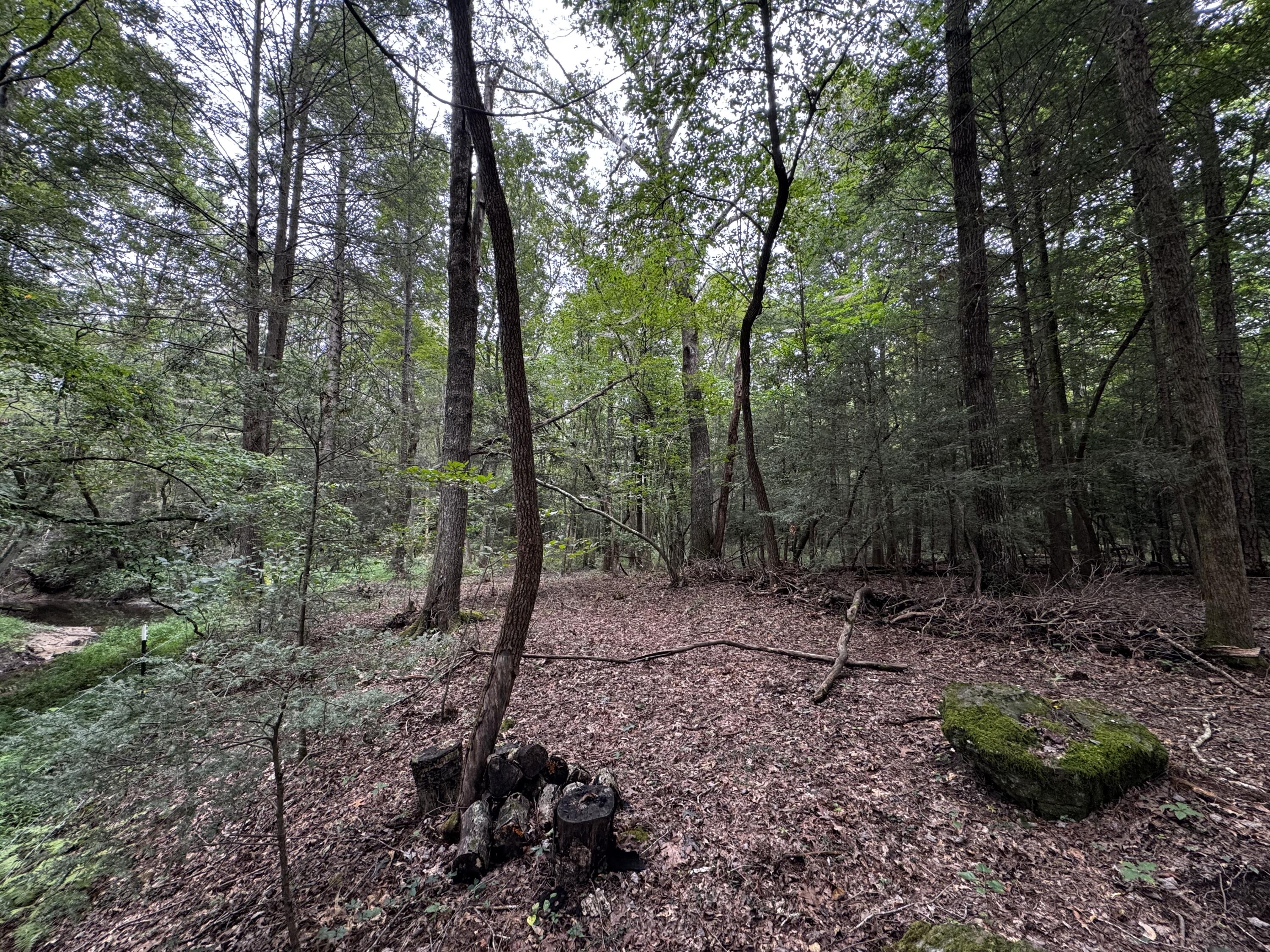 115 Sunshine Road Sequatchie, TN 37374 - Photo 5 of 18 IMG_1984