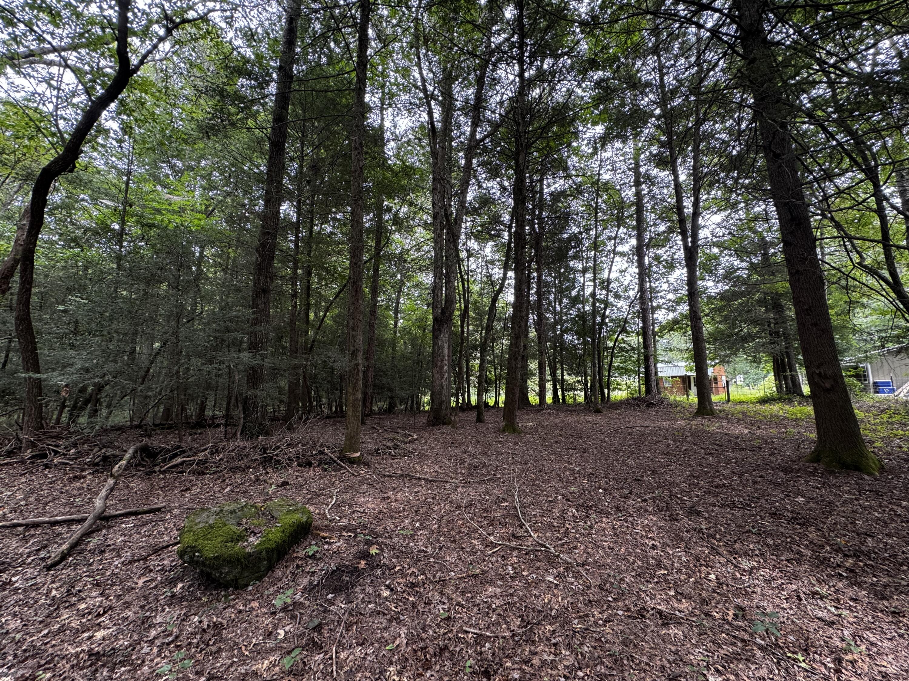 115 Sunshine Road Sequatchie, TN 37374 - Photo 6 of 18 IMG_1983