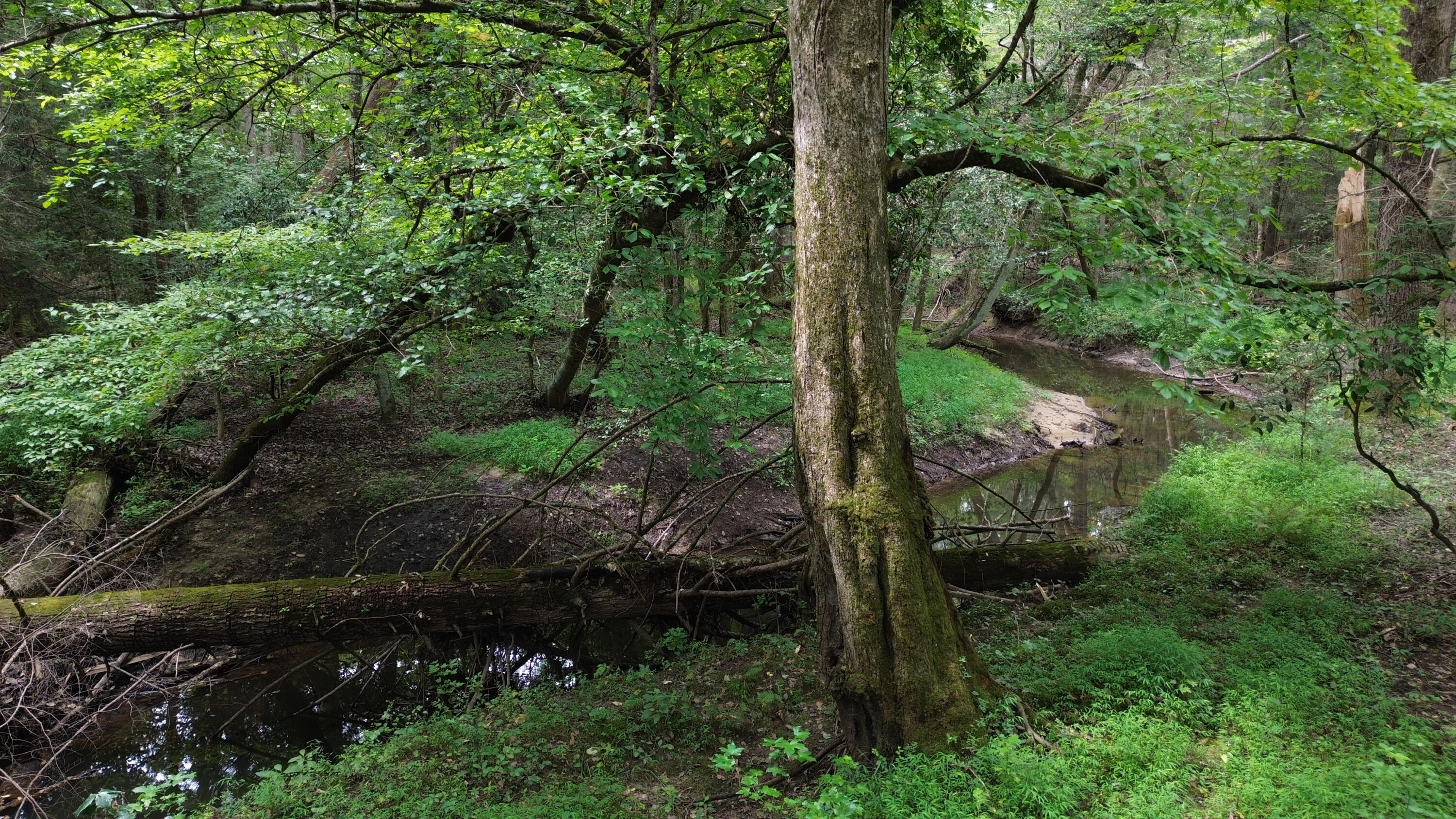 115 Sunshine Road Sequatchie, TN 37374 - Photo 8 of 18 DJI_0614