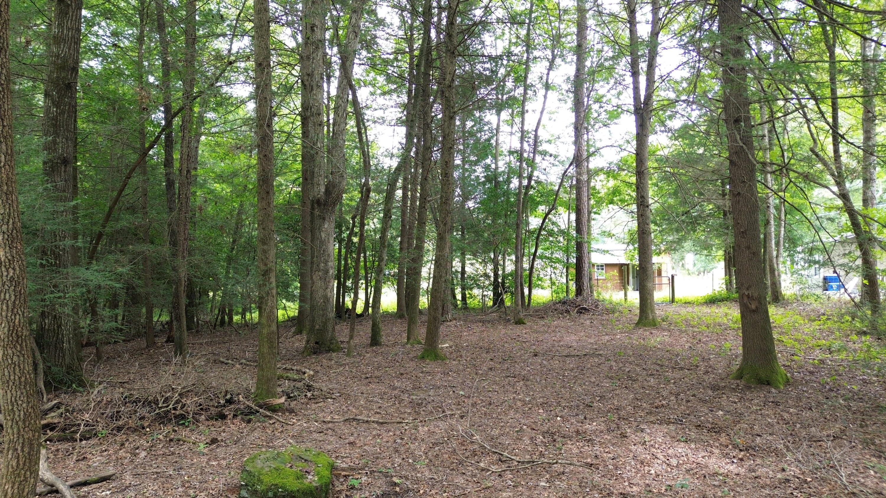 115 Sunshine Road Sequatchie, TN 37374 - Photo 9 of 18 DJI_0609