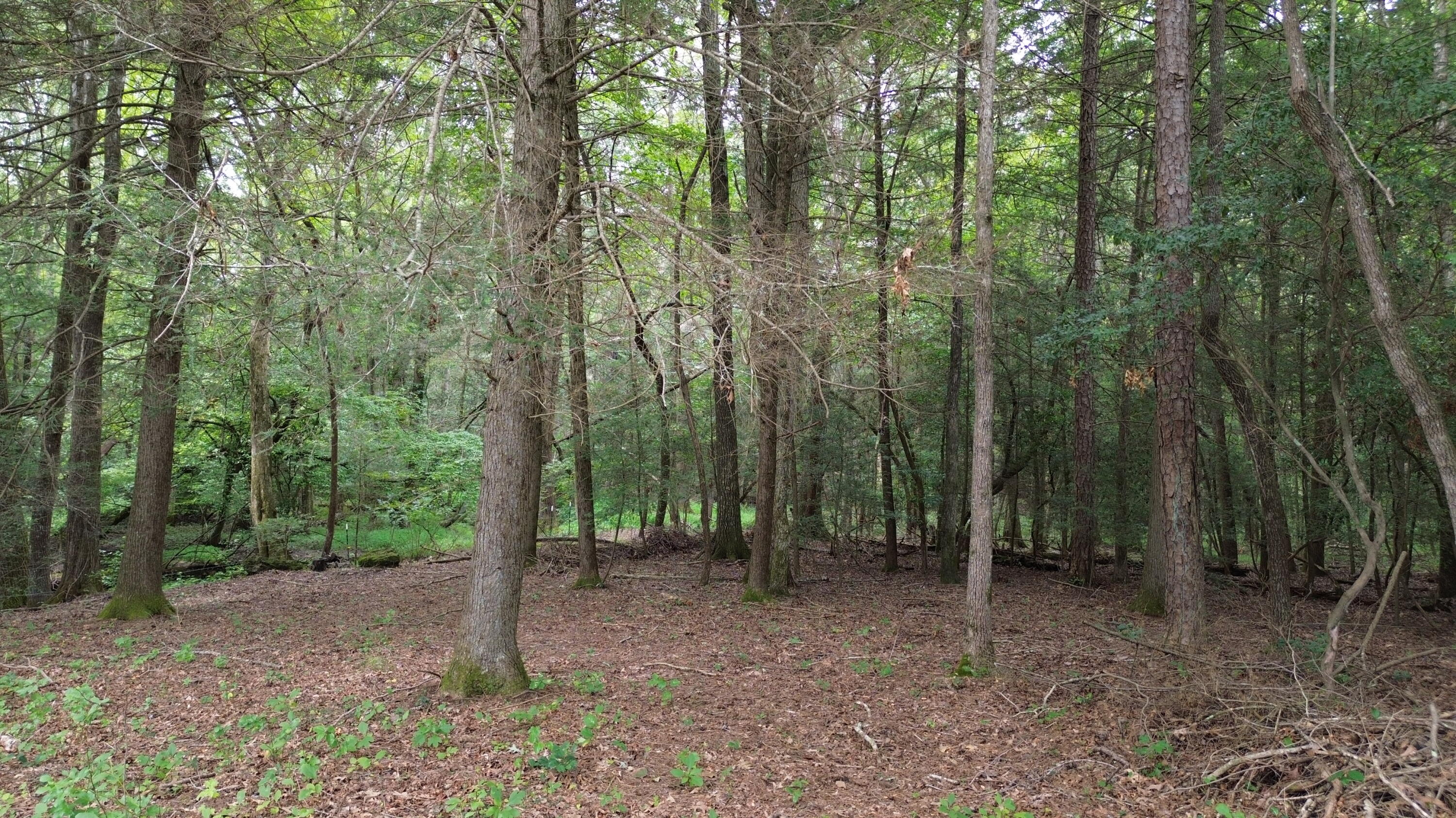 115 Sunshine Road Sequatchie, TN 37374 - Photo 10 of 18 DJI_0605