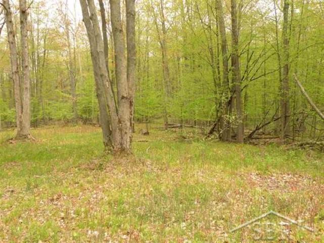 18405 Ithaca Road St. Charles, MI 48655 - Photo 5 of 8