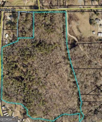 1202 Mt Zion Road Carrollton, GA 30117 - Photo 6 of 6 Aerial Map Showing the 2 Parcels Combined