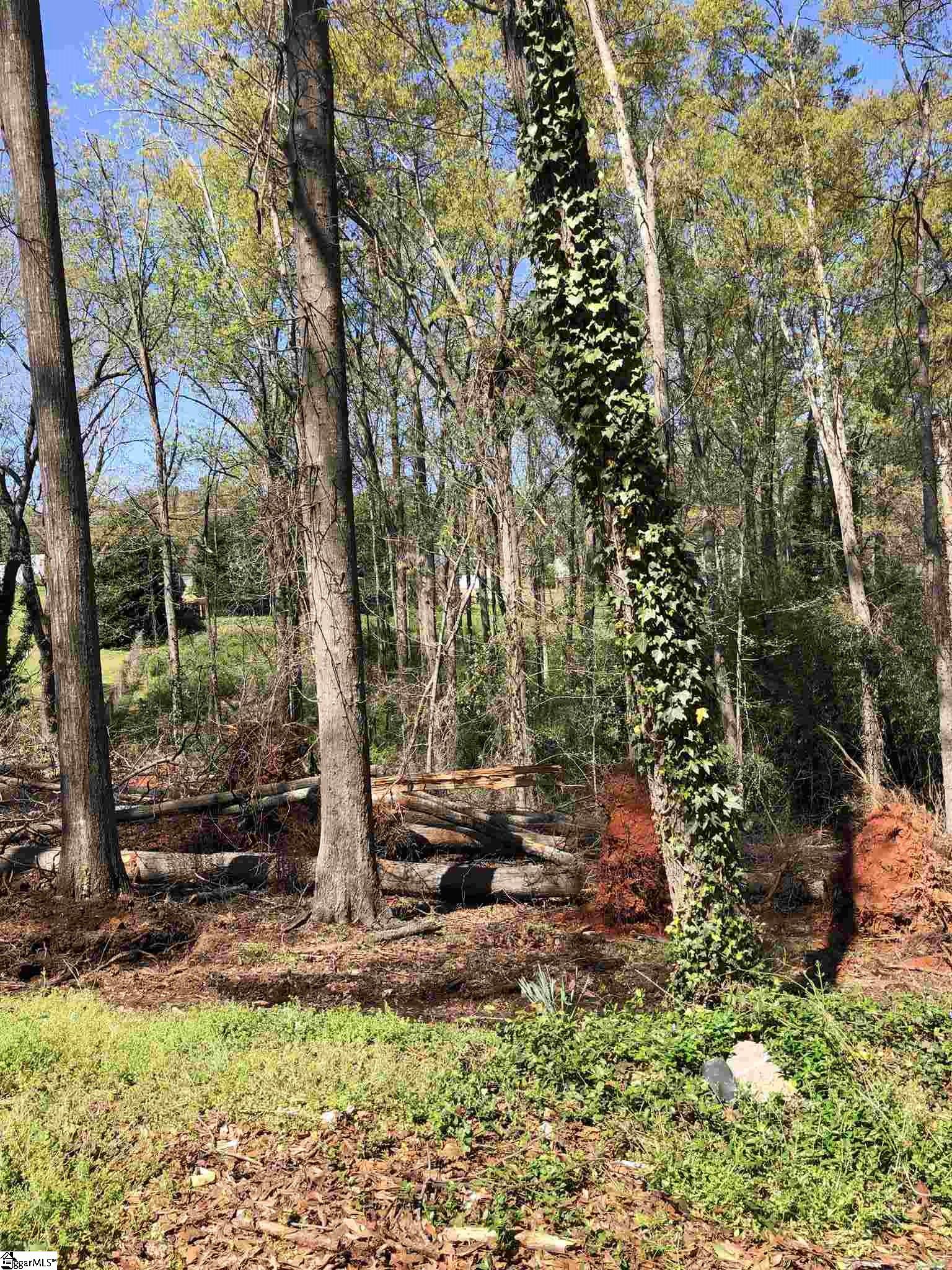 211 Green Street Greer, SC 29650 - Photo 2 of 5 Gallery Image 2